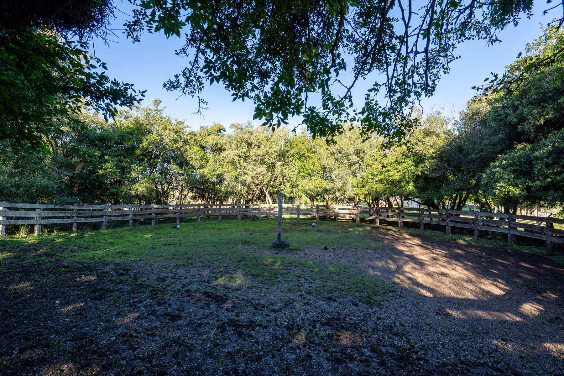  Excellent property in the Sierras. - 物件實景