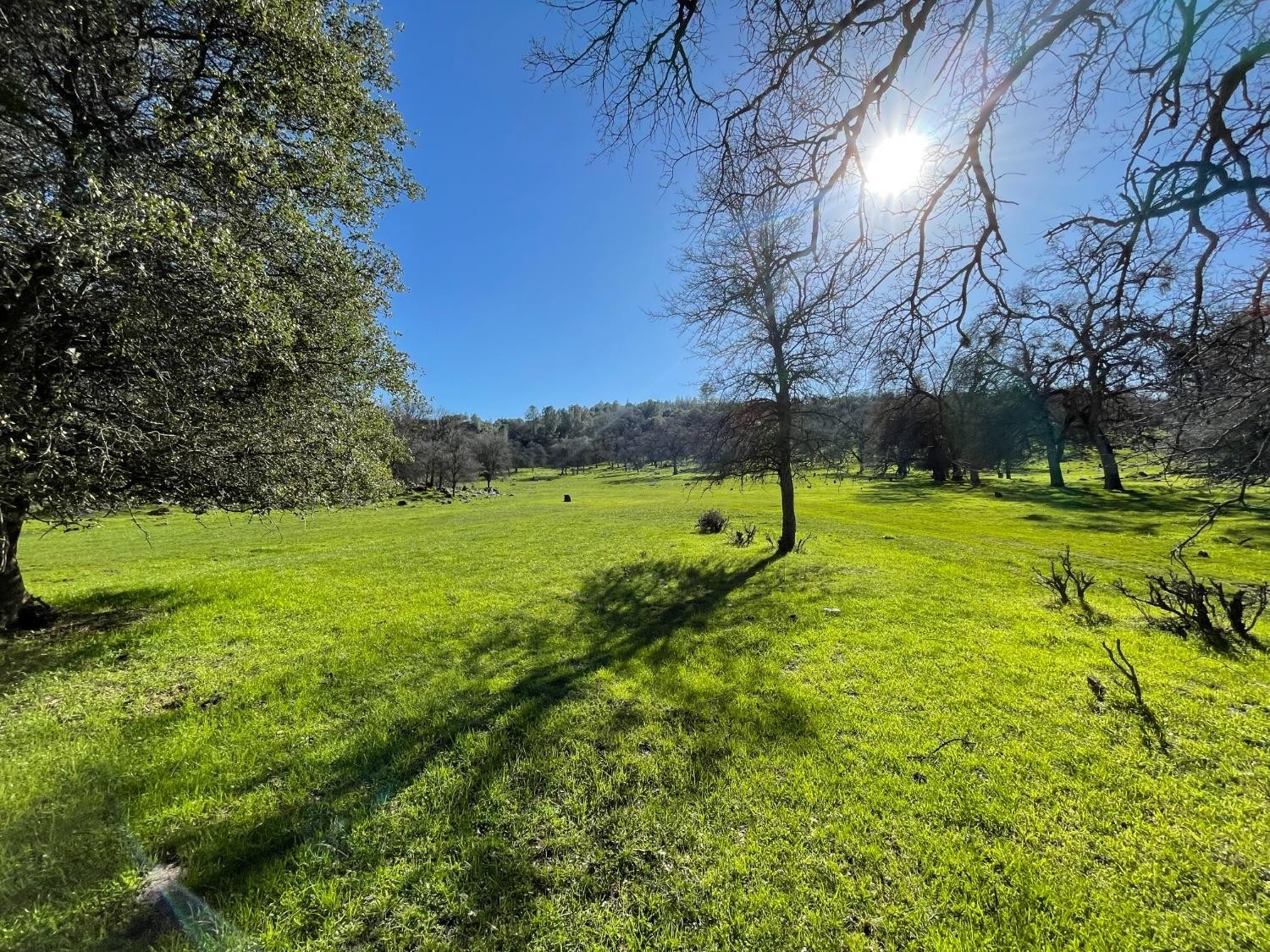 Vallecito, California, 95251, United States, ,Land,For Sale,1980651