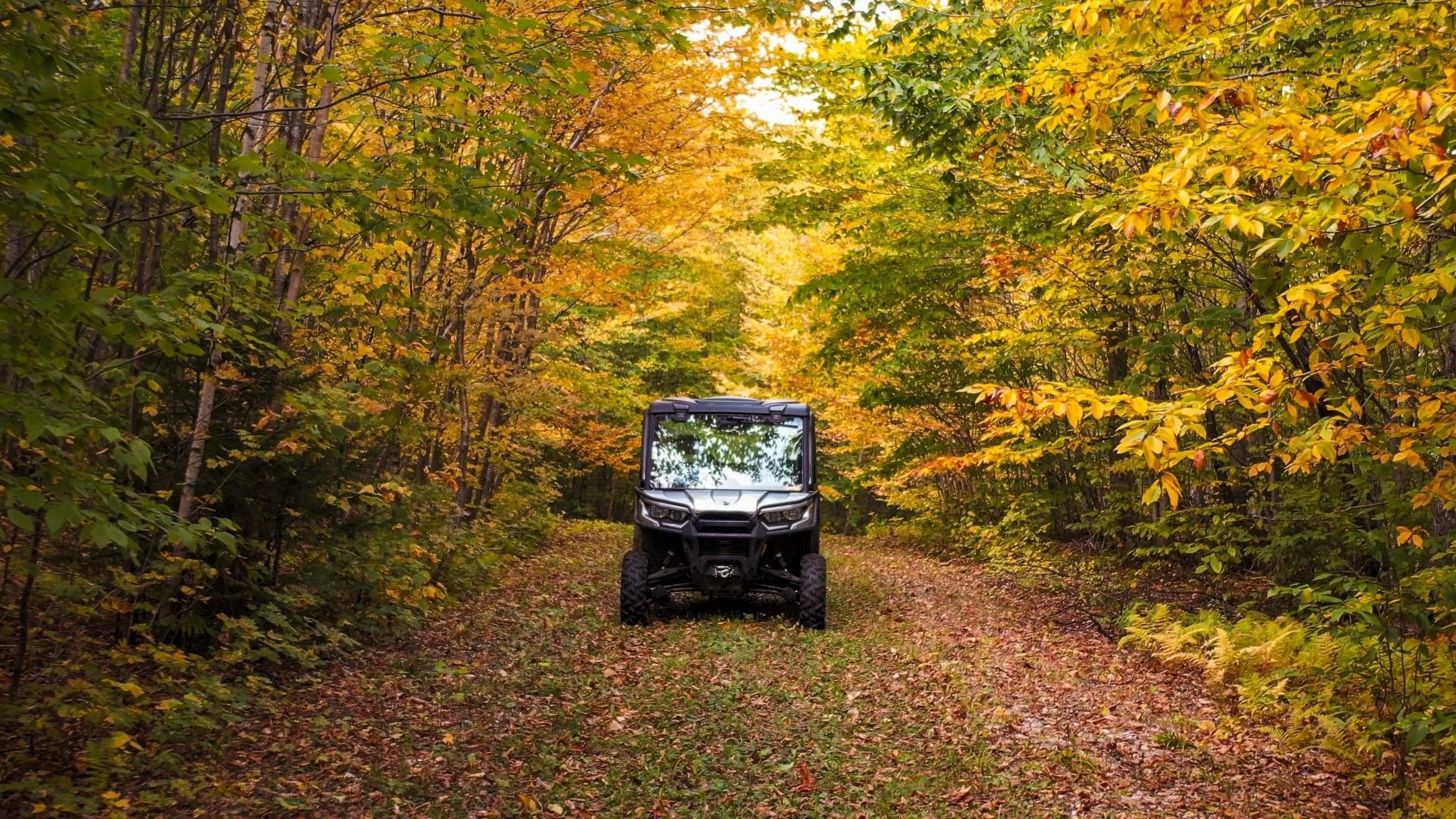 Jay, Vermont, 05859, United States, ,Land,For Sale,1999221