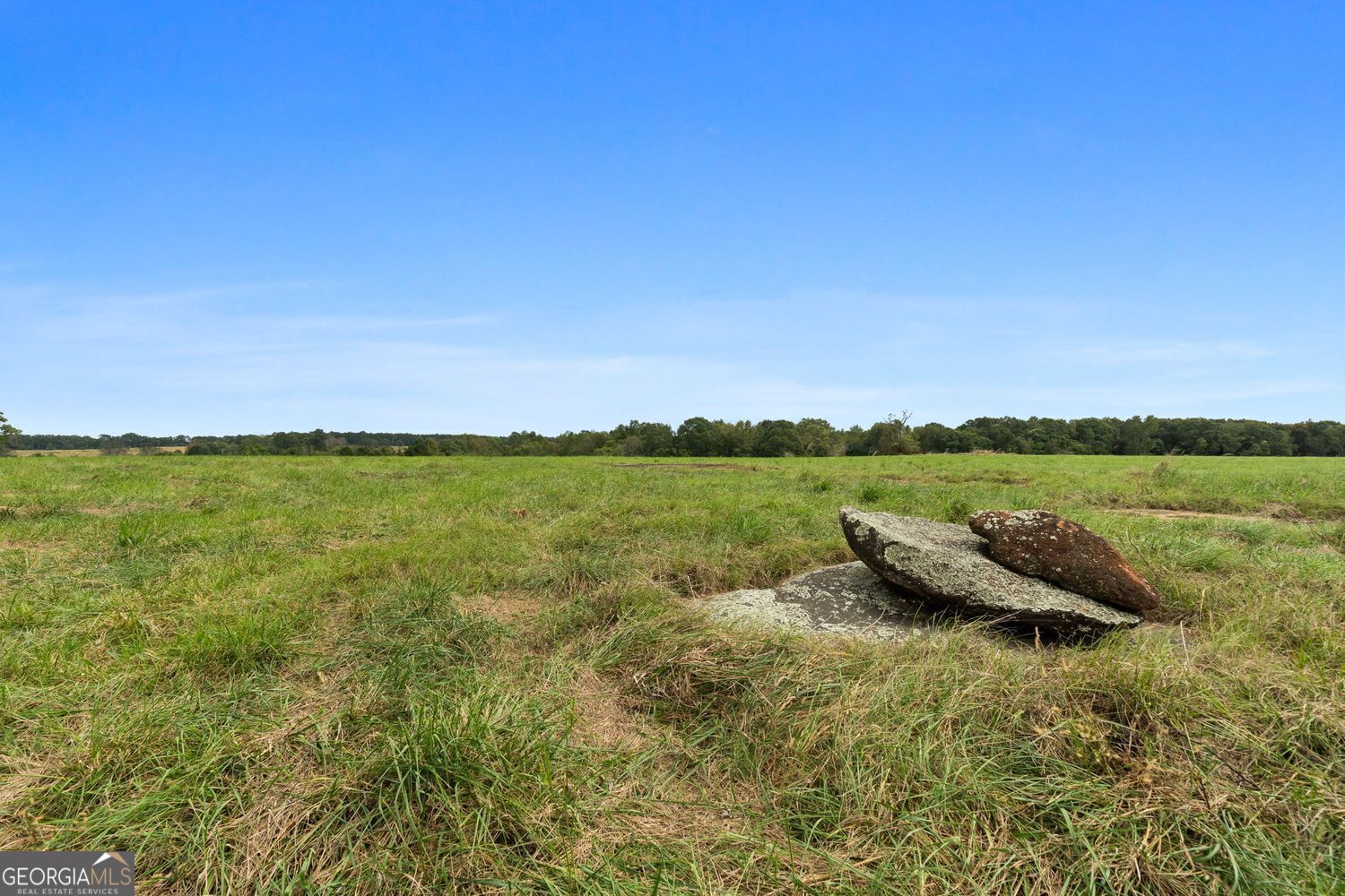 The Rock, Georgia, 30285, United States, ,Land,For Sale,1963371
