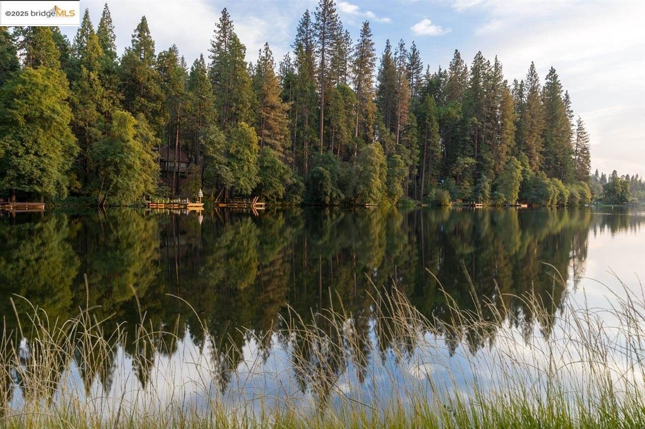 Twain Harte, California, 95383, United States, 3 Bedrooms Bedrooms, ,2 BathroomsBathrooms,Residential,For Sale,1974121