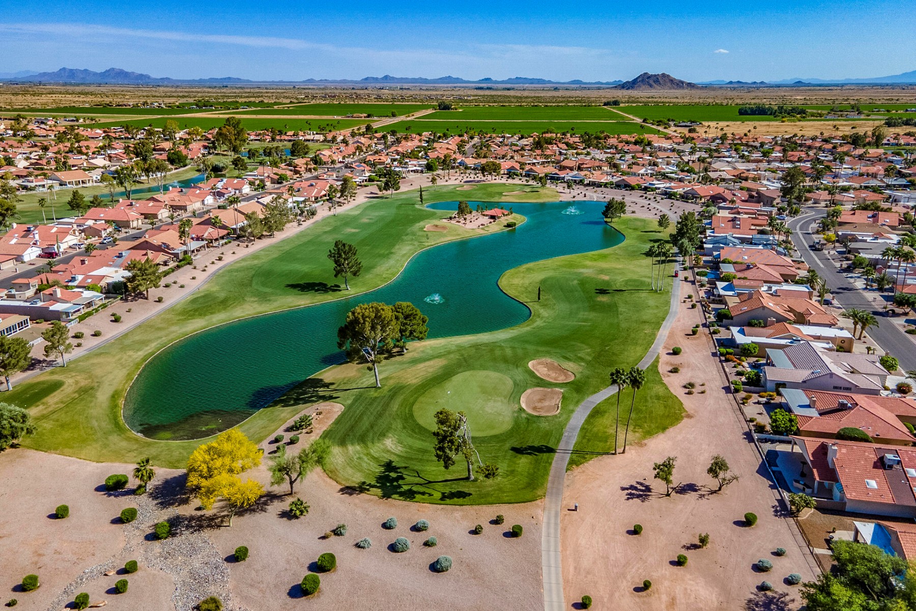  26202 S Flame Tree Drive  Sun Lakes, AZ - 物件實景