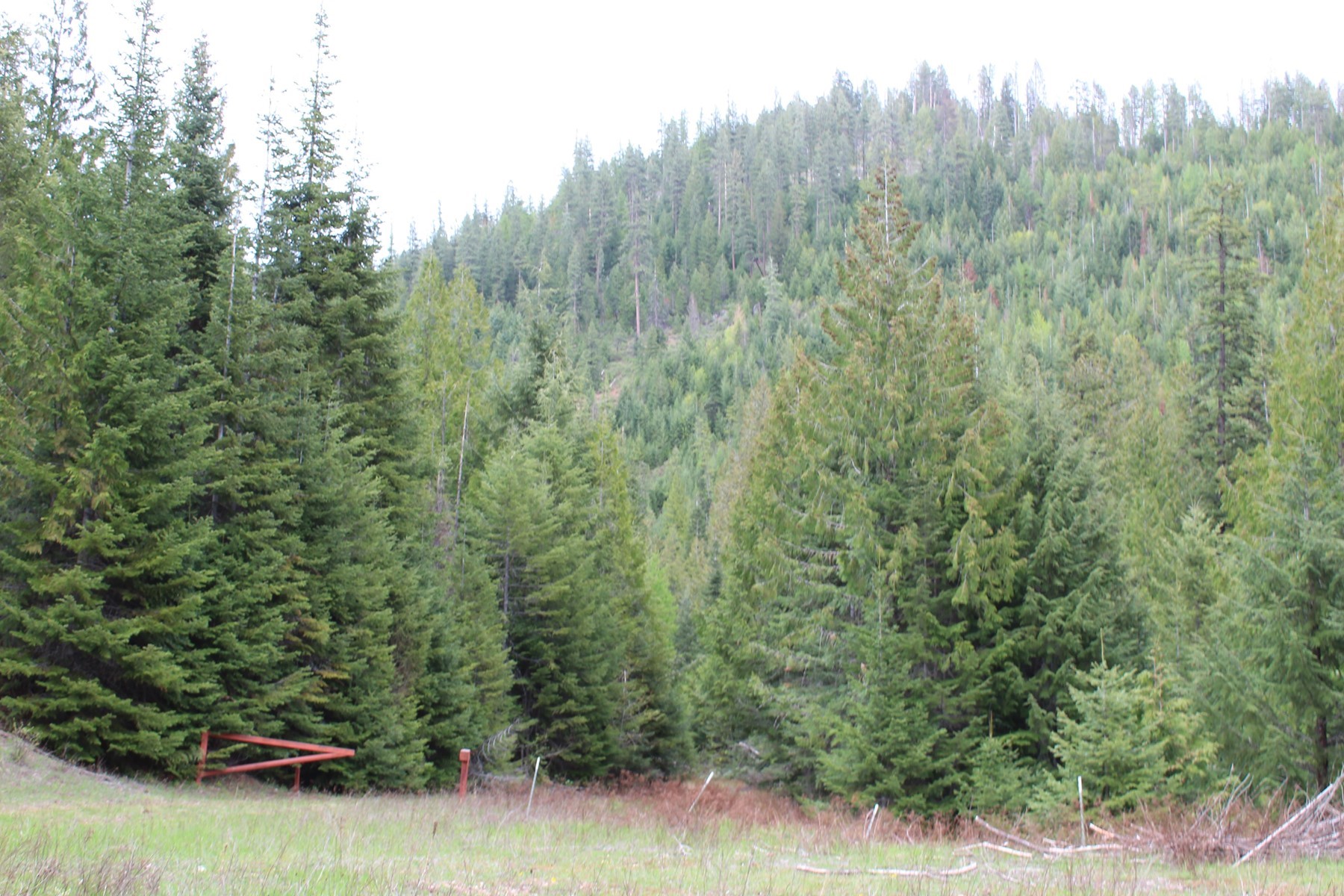  19a Daisy Gulch Road - 物件實景