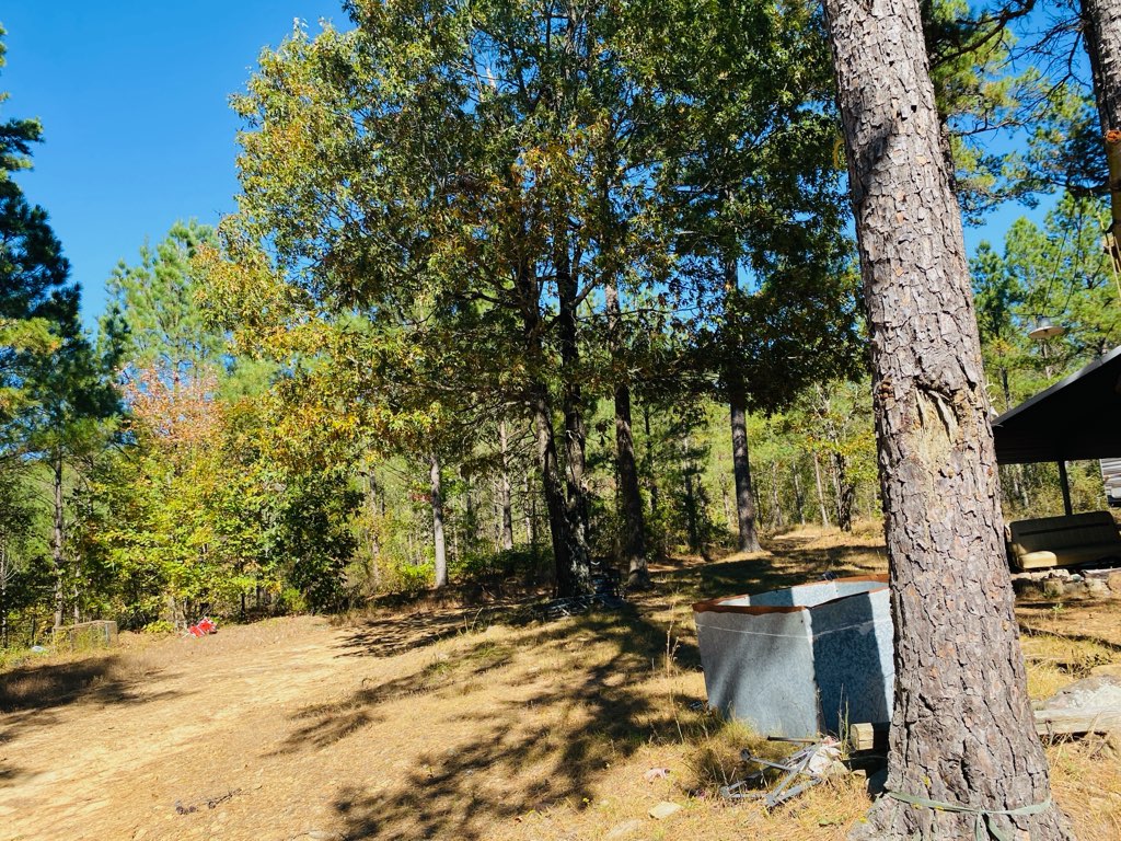 Mena, Arkansas, 71953, United States, ,Land,For Sale,1973758