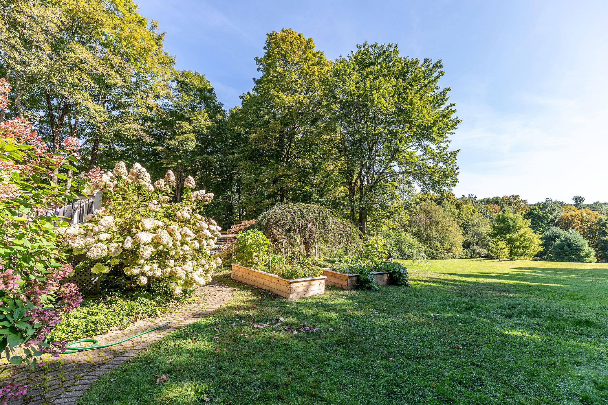  352 Norfolk Road - 物件實景