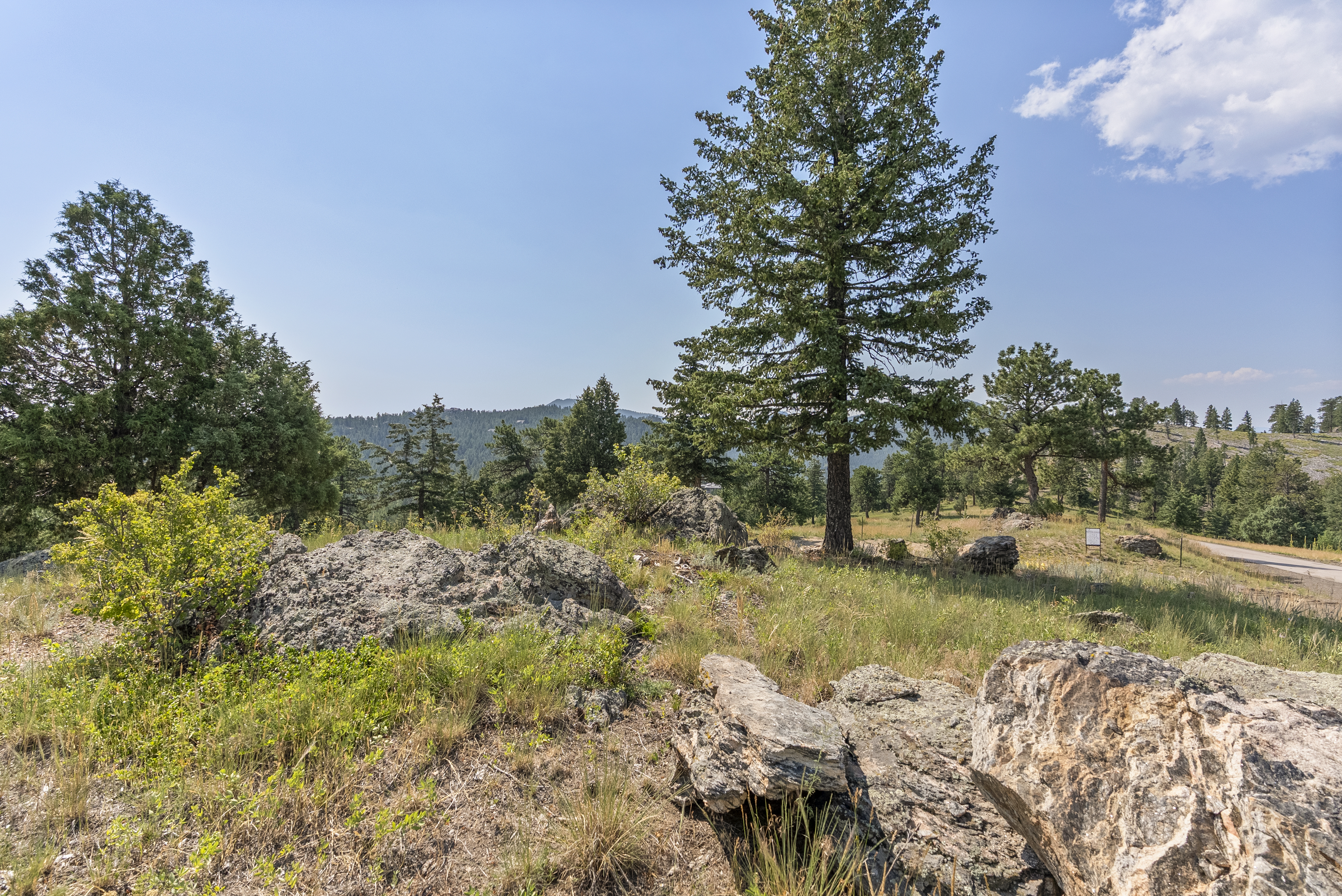  Acreage Available in Evergreen