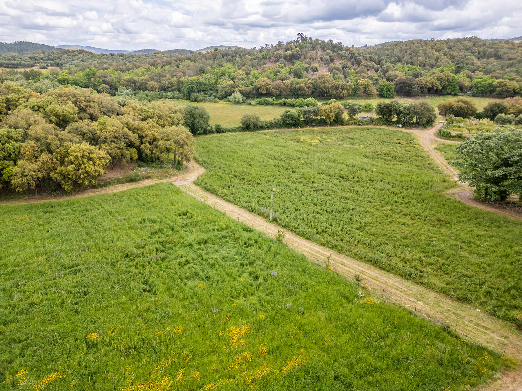  Cattle, equestrian, agricultural, and ecological farm in Aracena