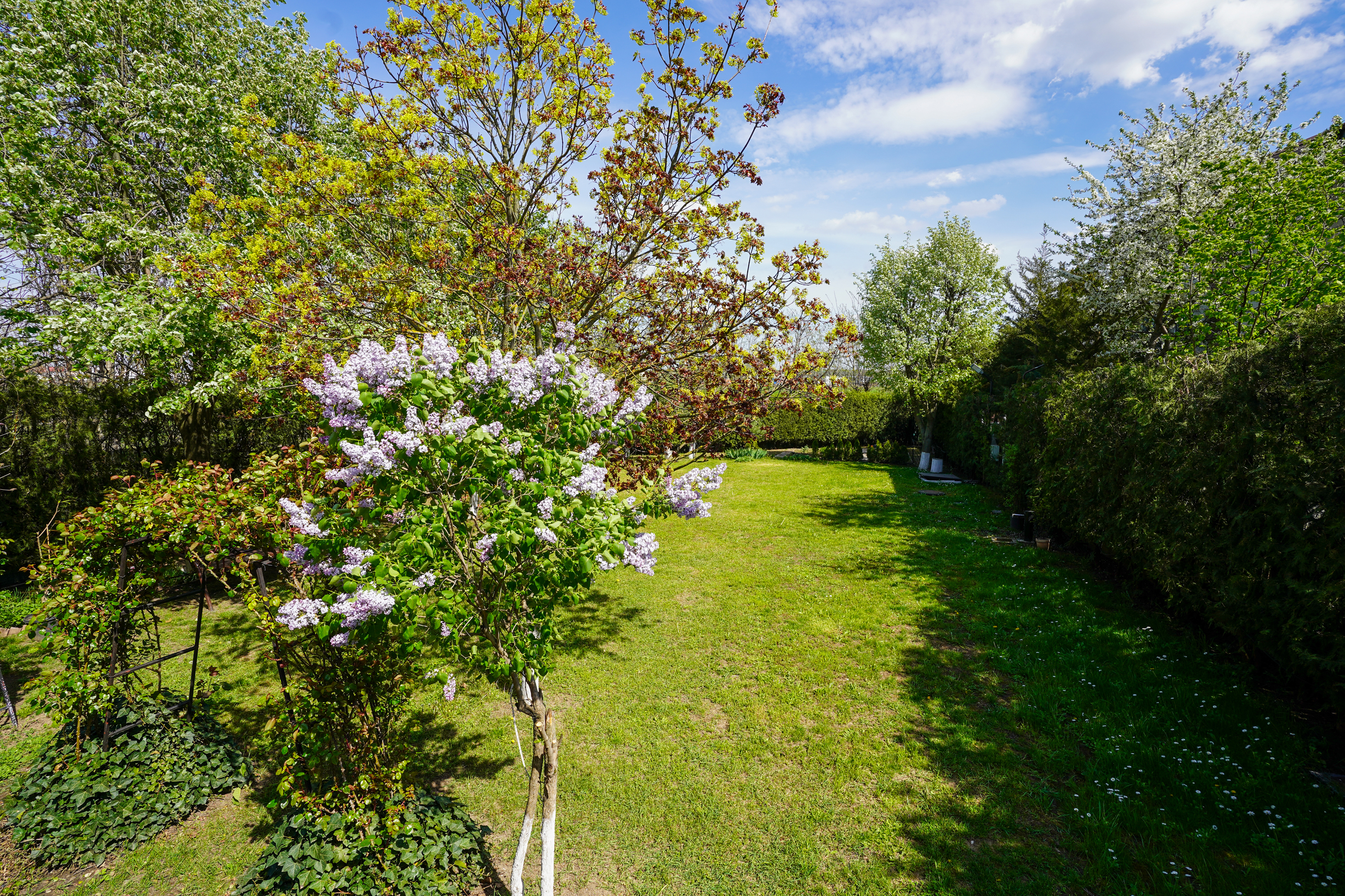  Luxury Villa in a Prime Educational Hub, Pipera - 物件實景