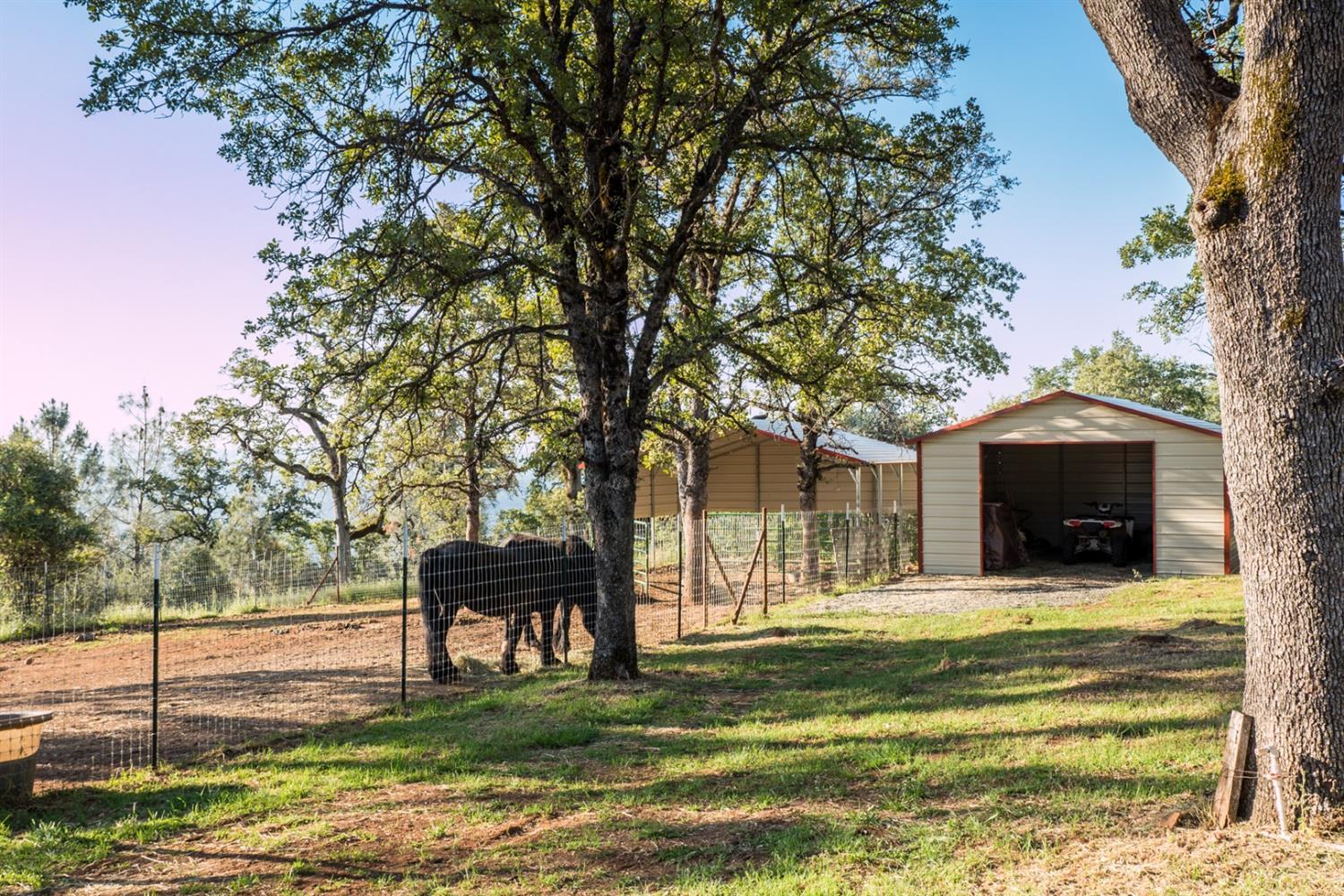 Oregon House, California, 95962, United States, 4 Bedrooms Bedrooms, ,3 BathroomsBathrooms,Residential,For Sale,1976473
