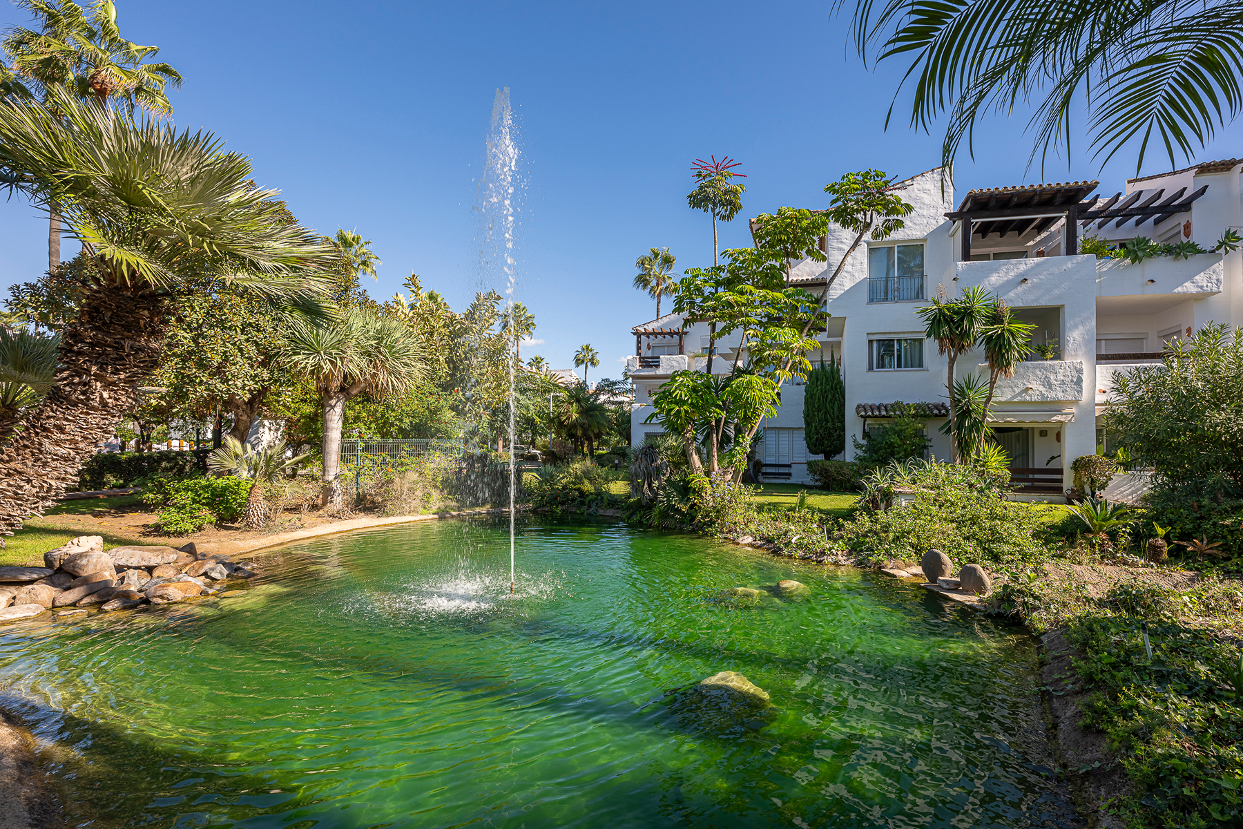  Beachfront contemporary apartment in Costalita, Estepona - 物件實景