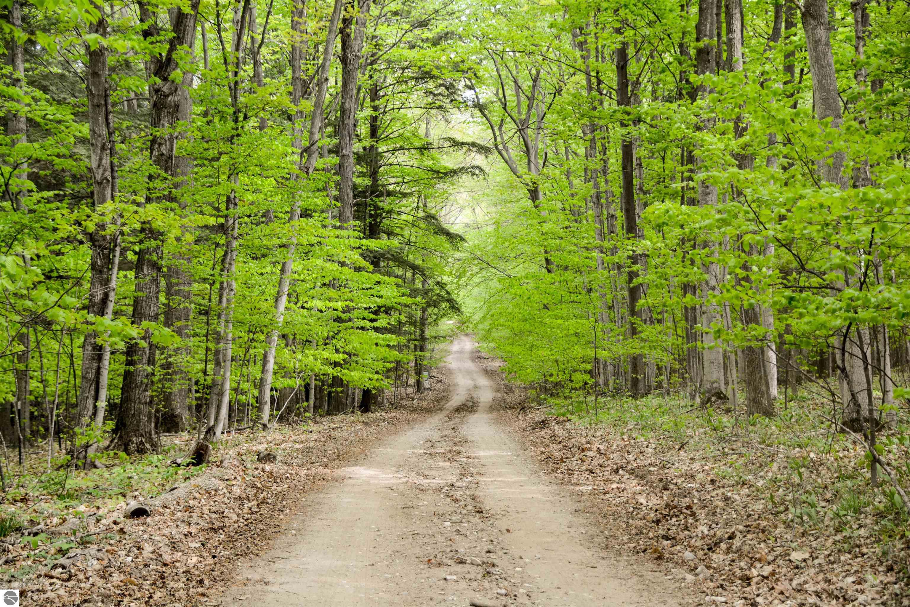 Traverse City, Michigan, 49686, United States, ,Land,For Sale,1817829