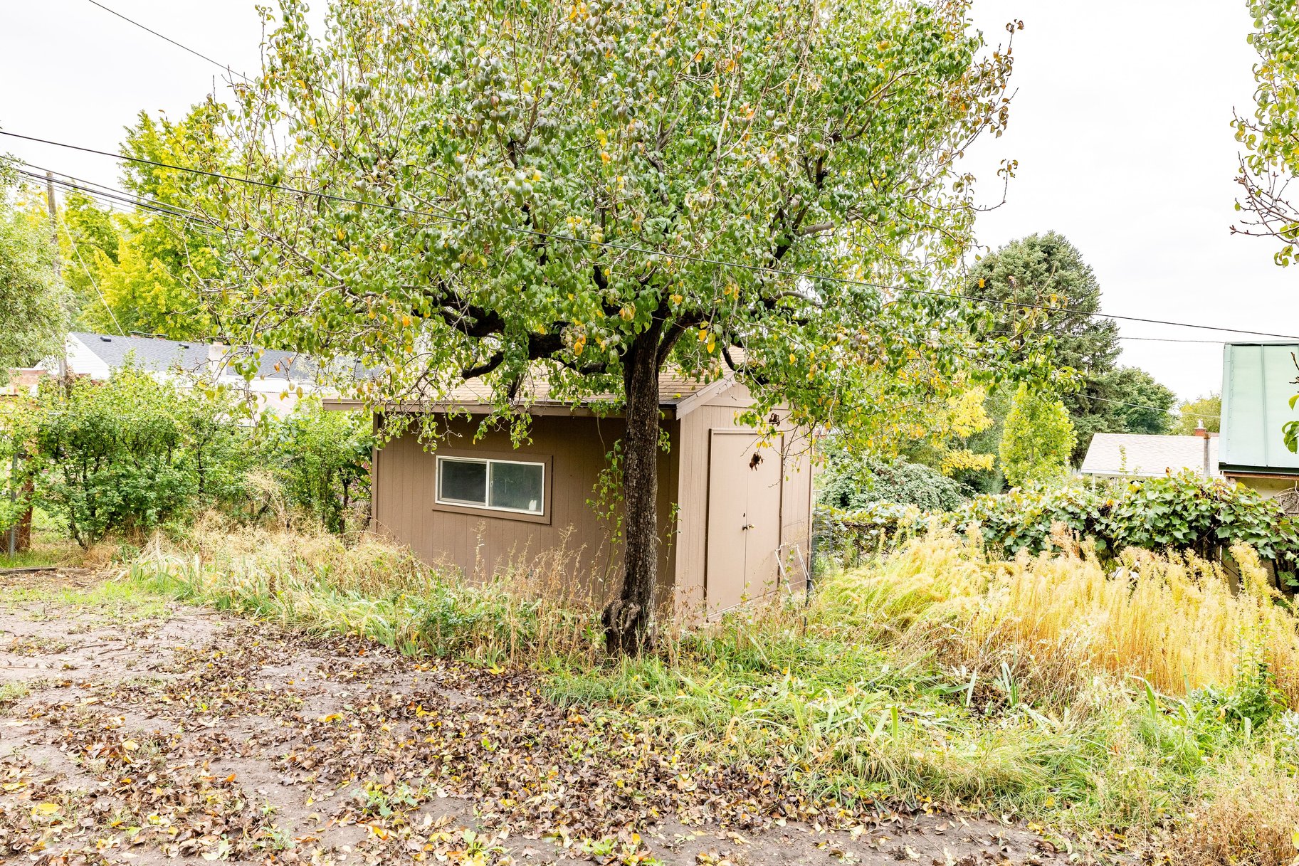  Rare lot close to WSU - 物件實景