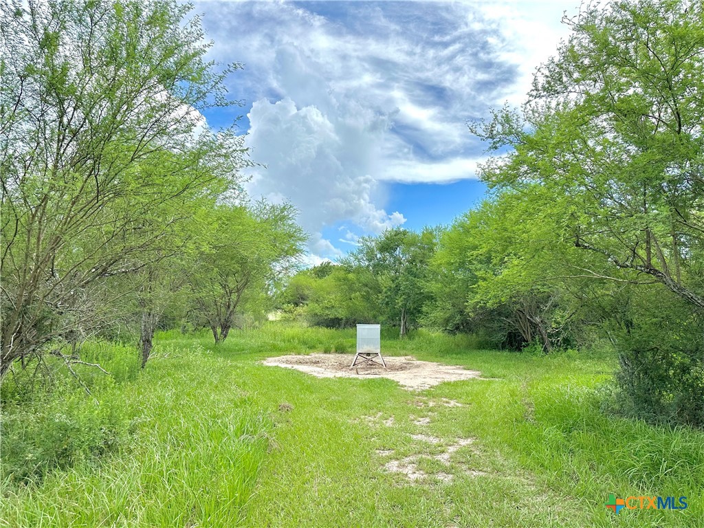 Nursery, Texas, 77976, United States, ,Land,For Sale,1885536