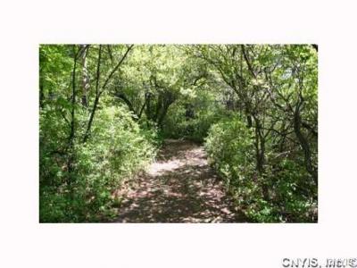 0000 Split Rock Road, Camillus, New York, 13031, United States, ,Land,For Sale,0000 Split Rock Road,1431057