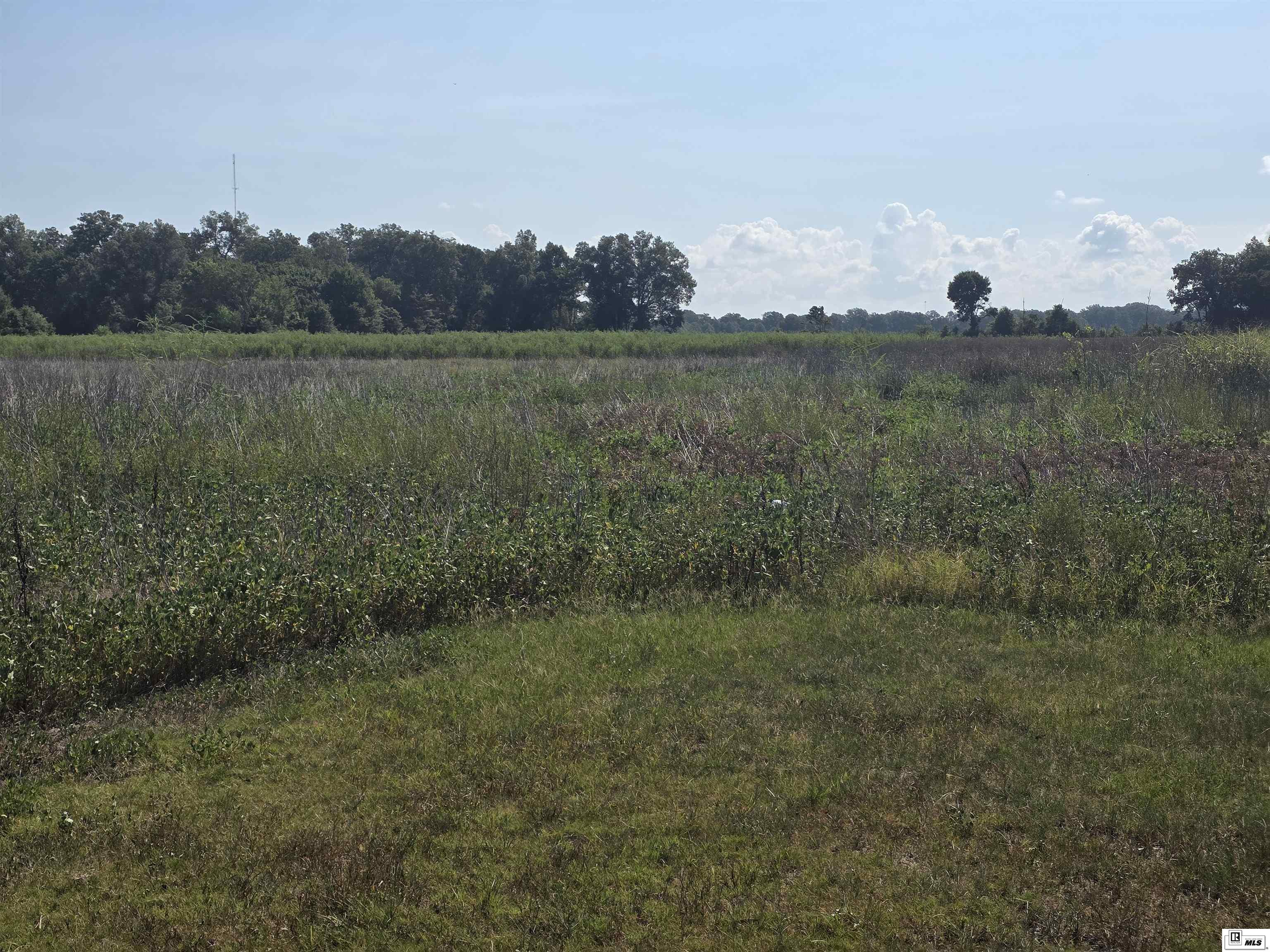 Rayville, Louisiana, 71269, United States, ,Residential,For Sale,1916667