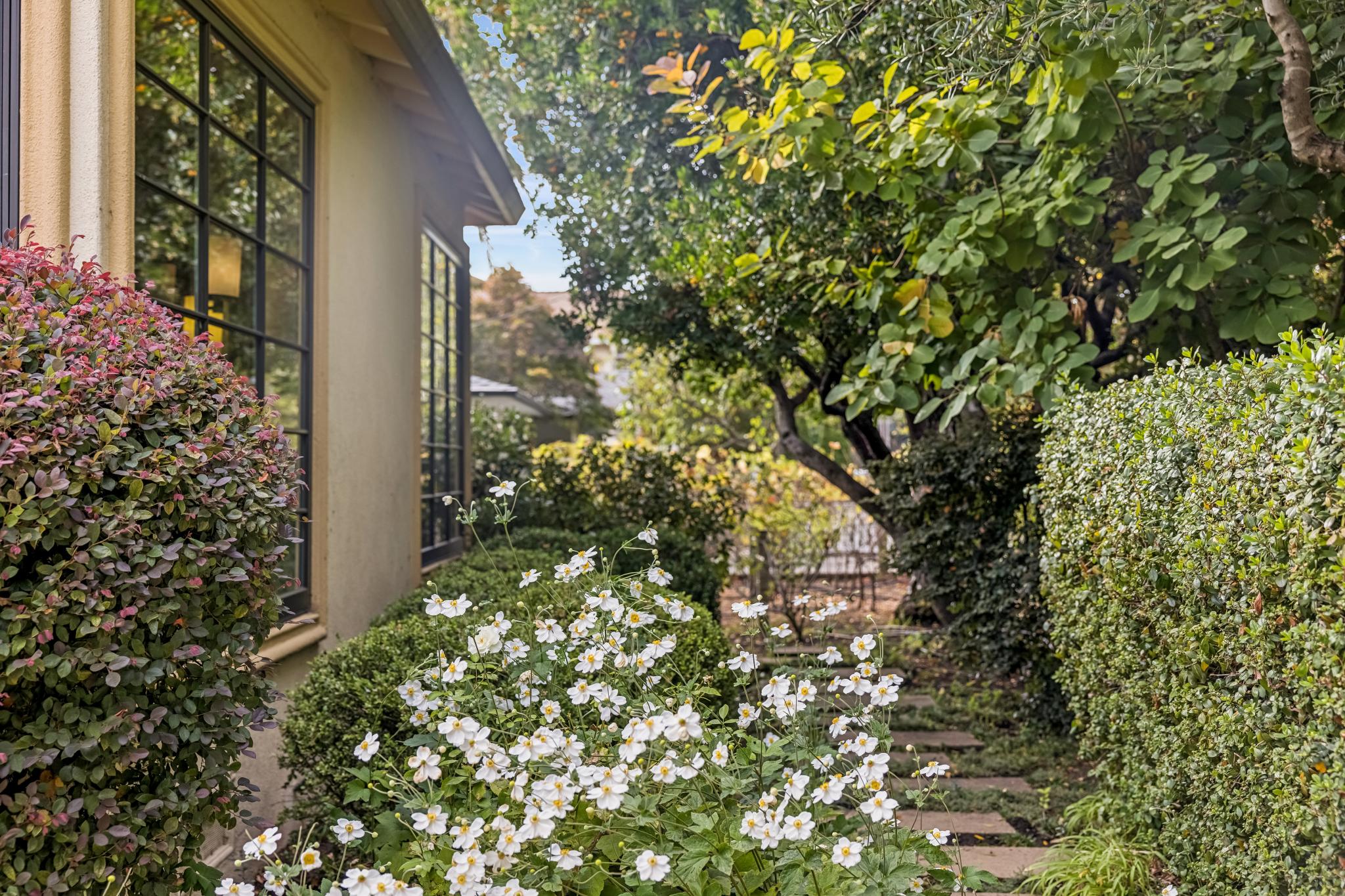  483 E. Napa St - 物件實景