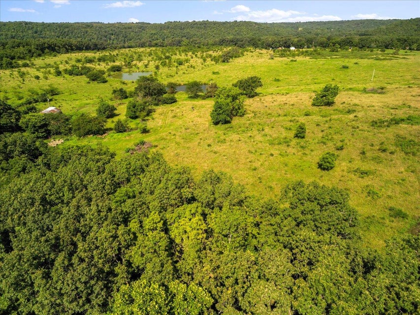 Udall, Missouri, 65766, United States, ,Land,For Sale,1984172