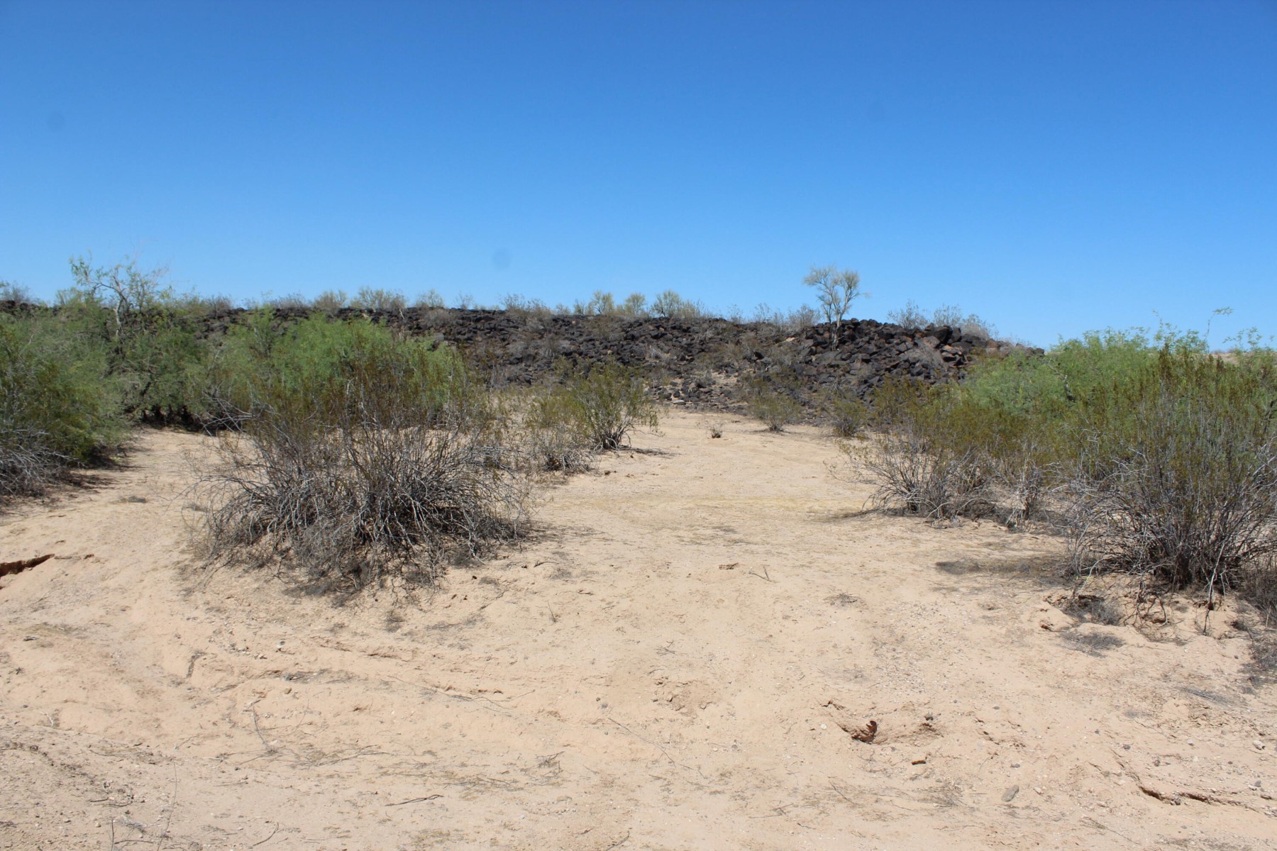  11 S 337th Avenue, Arlington, AZ, 85322 - 物件實景