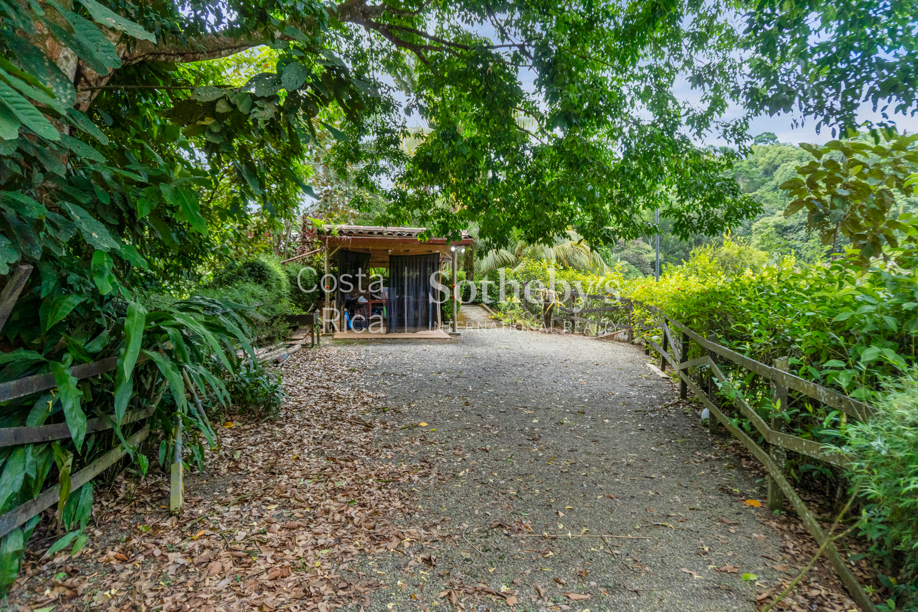  THE EMERALD SANCTUARY - PRIVATE JUNGLE VILLA WITH POOL IN OJOCHAL - 物件實景