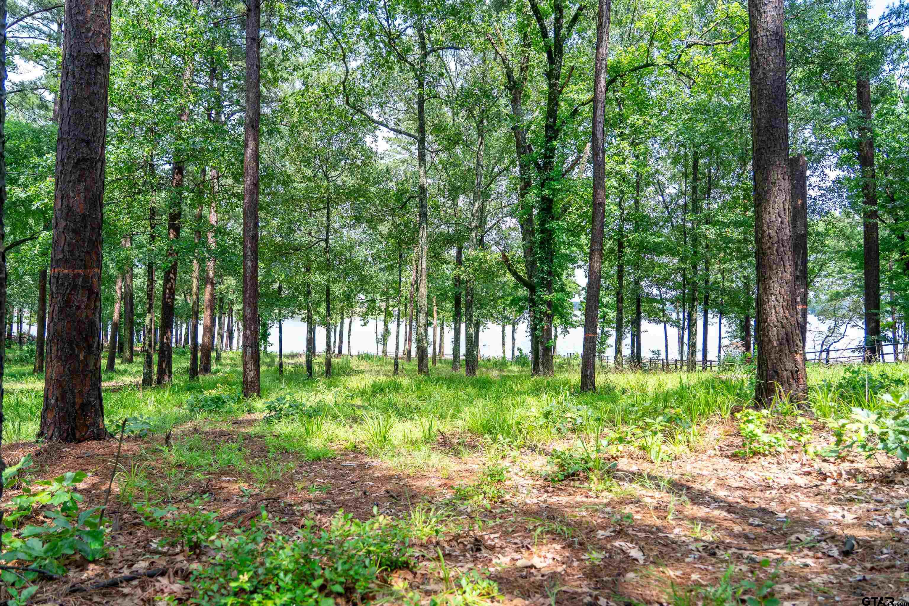Scroggins, Texas, 75480, United States, ,Land,For Sale,1975863