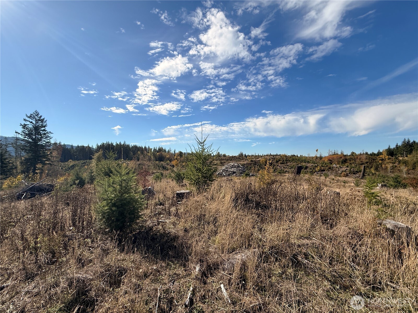 Rainier, Washington, 98576, United States, ,Land,For Sale,1998419