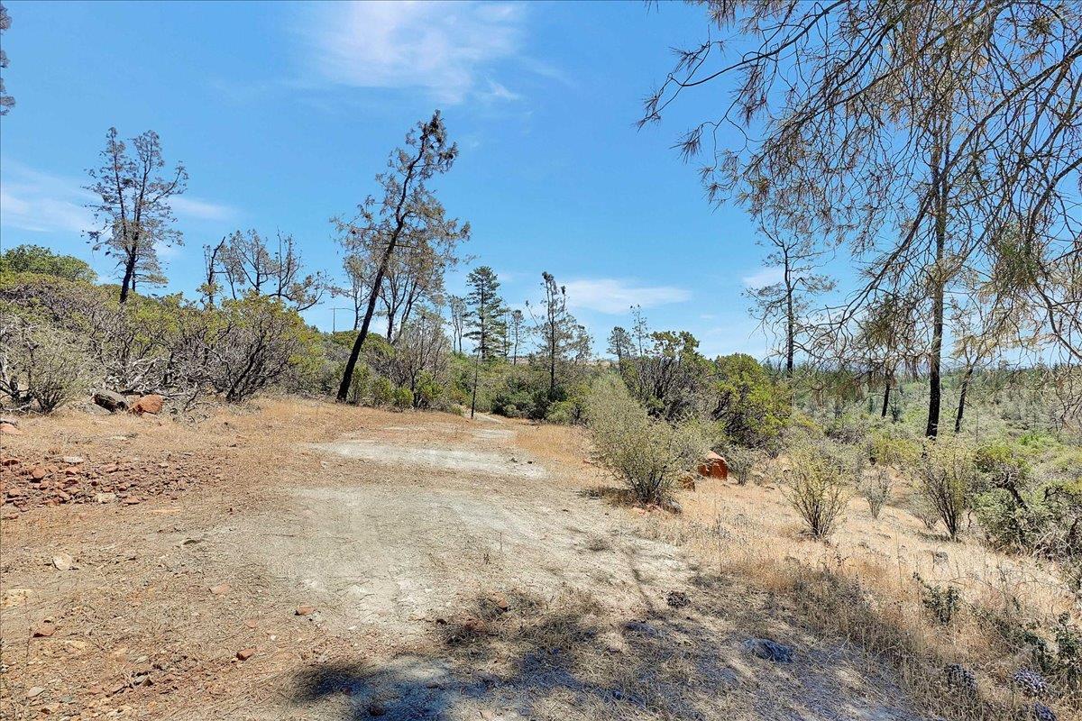 Oregon House, California, 95962, United States, ,Land,For Sale,1975767