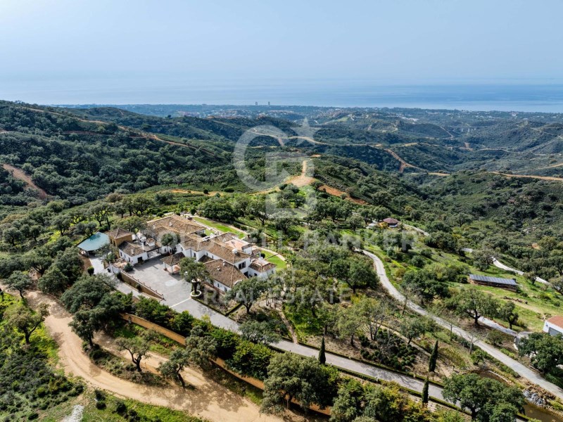 Marbella, Andalusia, ES, 7 Bedrooms Bedrooms, ,7 BathroomsBathrooms,Residential,For Sale,1939436