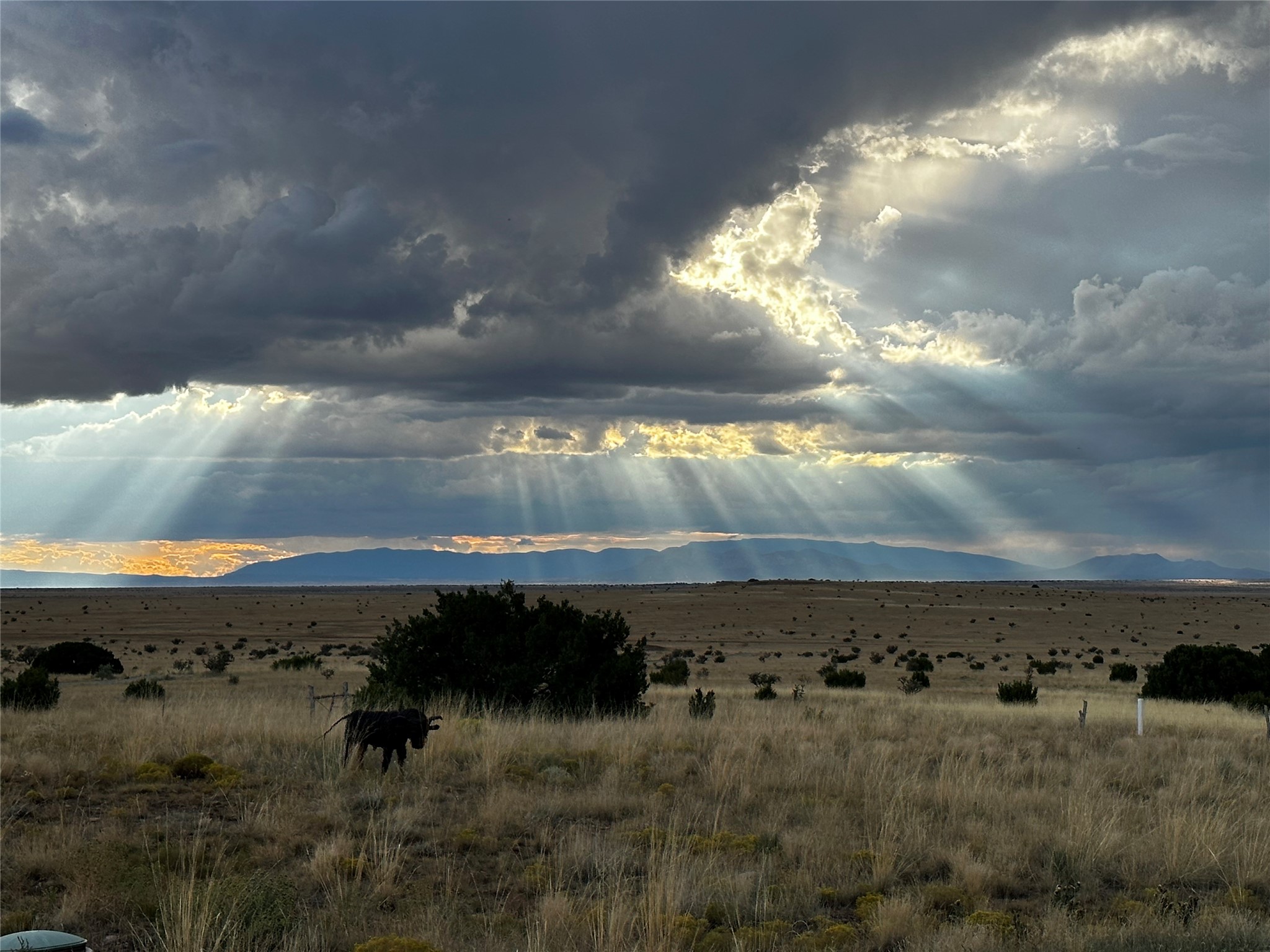  26262 US Highway 285 - 物件實景