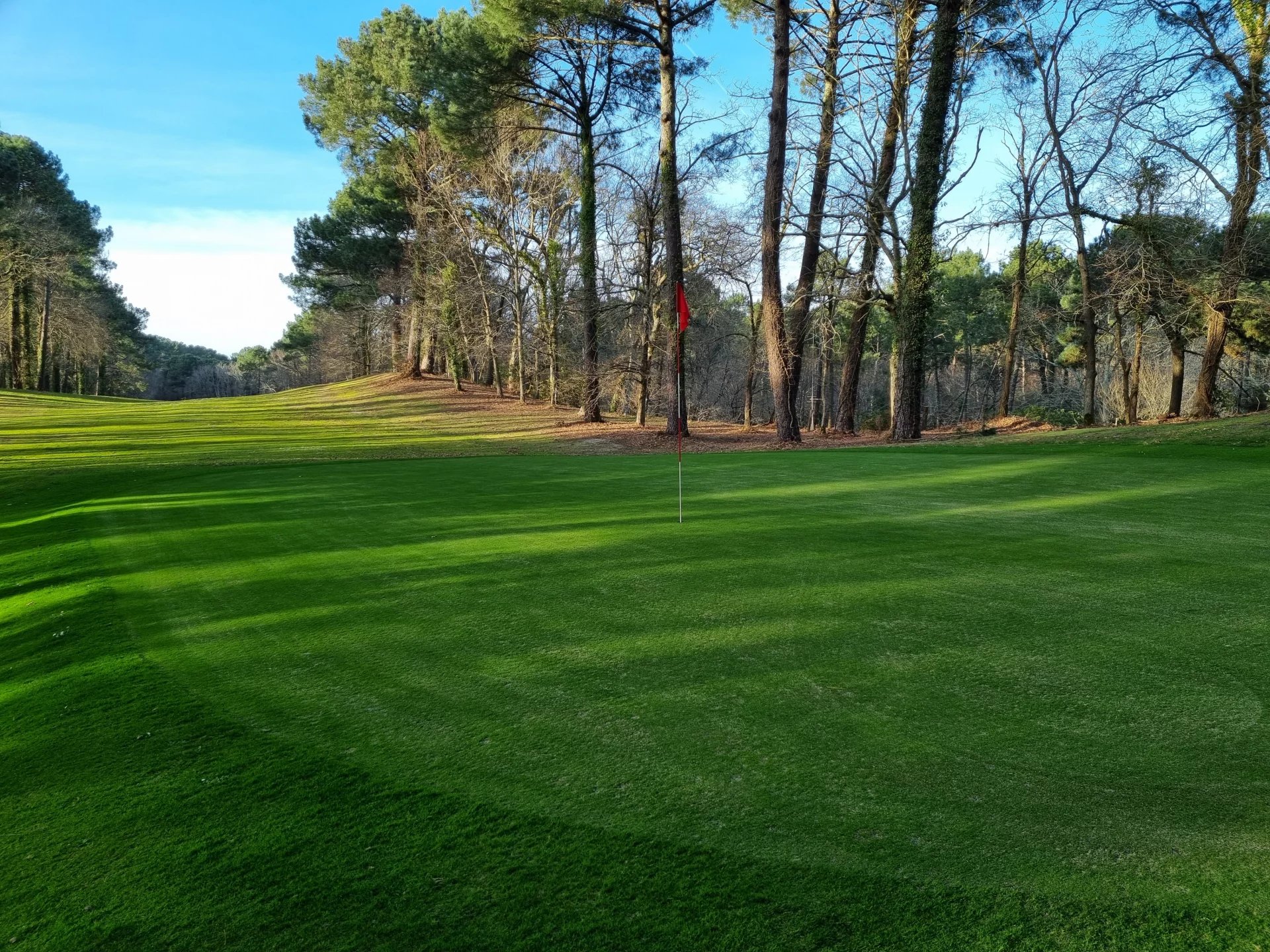 Biscarrosse, New Aquitaine, 40600, FR, 5 Bedrooms Bedrooms, ,8 BathroomsBathrooms,Residential,For Sale,1668952