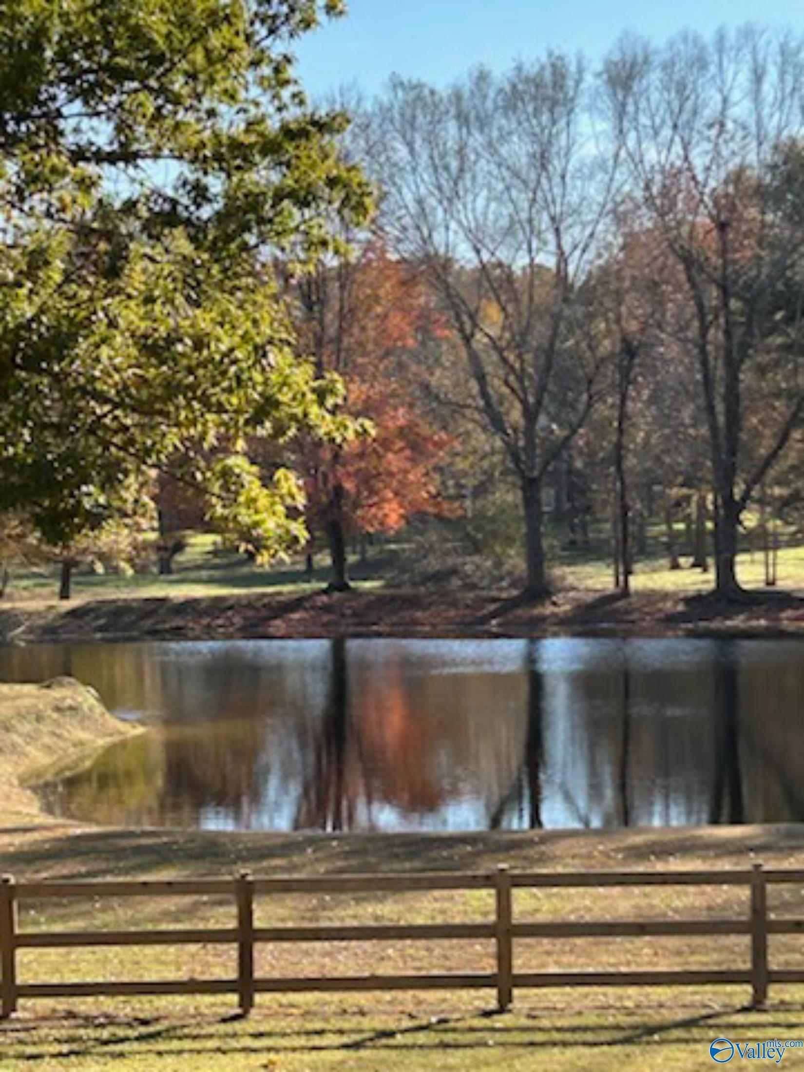  436 Mount Zion Road, Madison, AL, 35757 - 物件實景