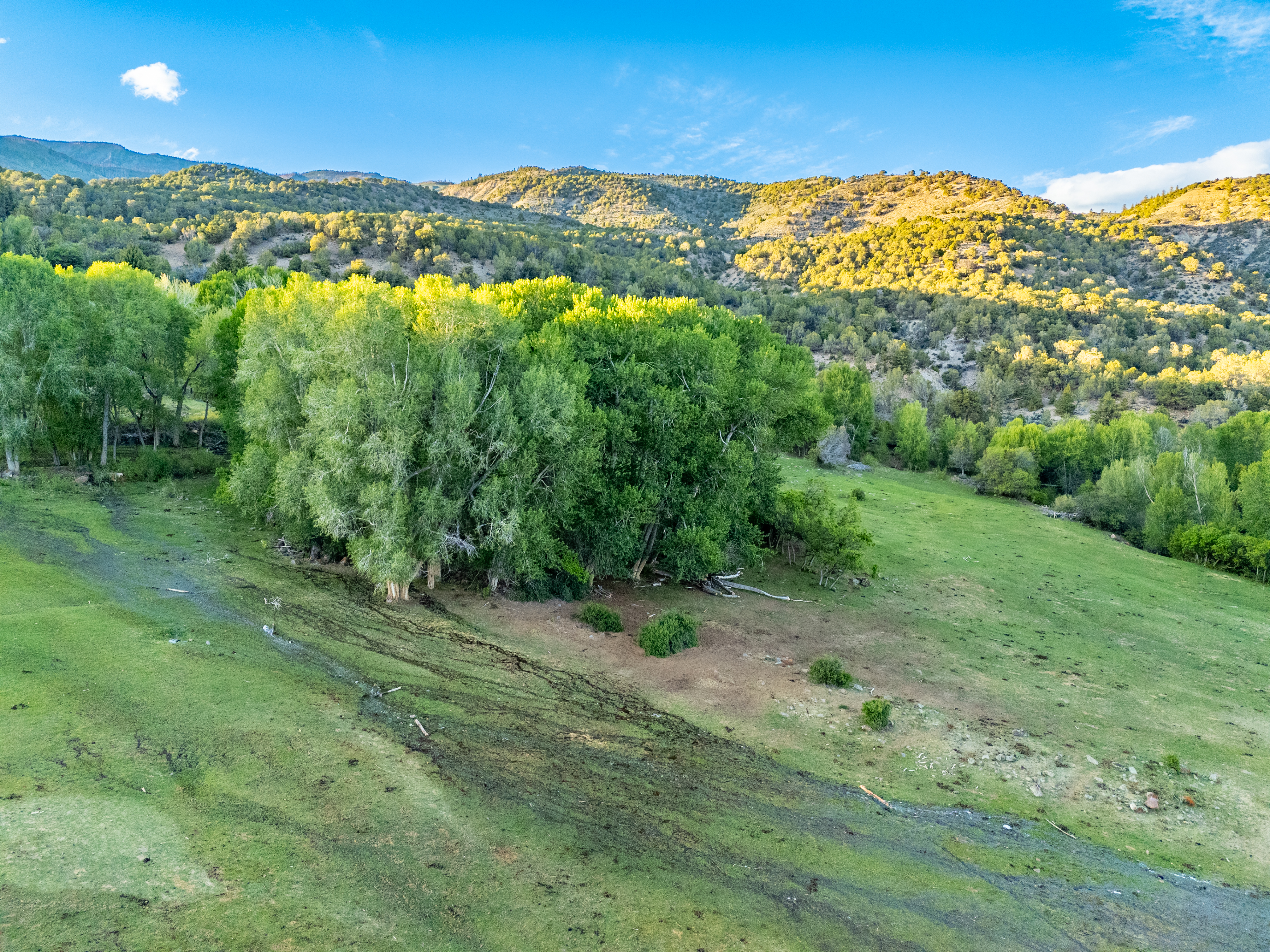  37 Acre Ranch with Water Rights and Panoramic Views - 物件實景