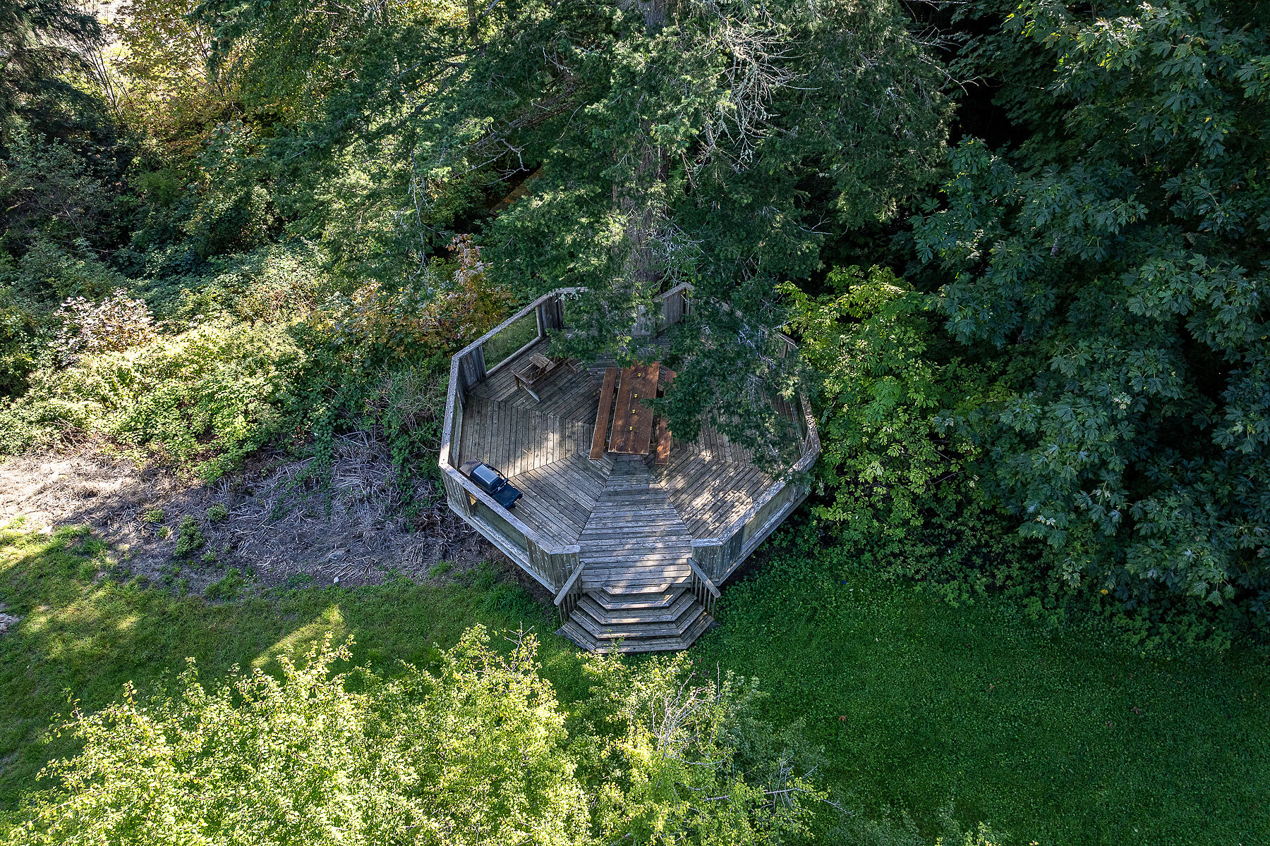  37 Acre Oceanfront Estate - 物件實景