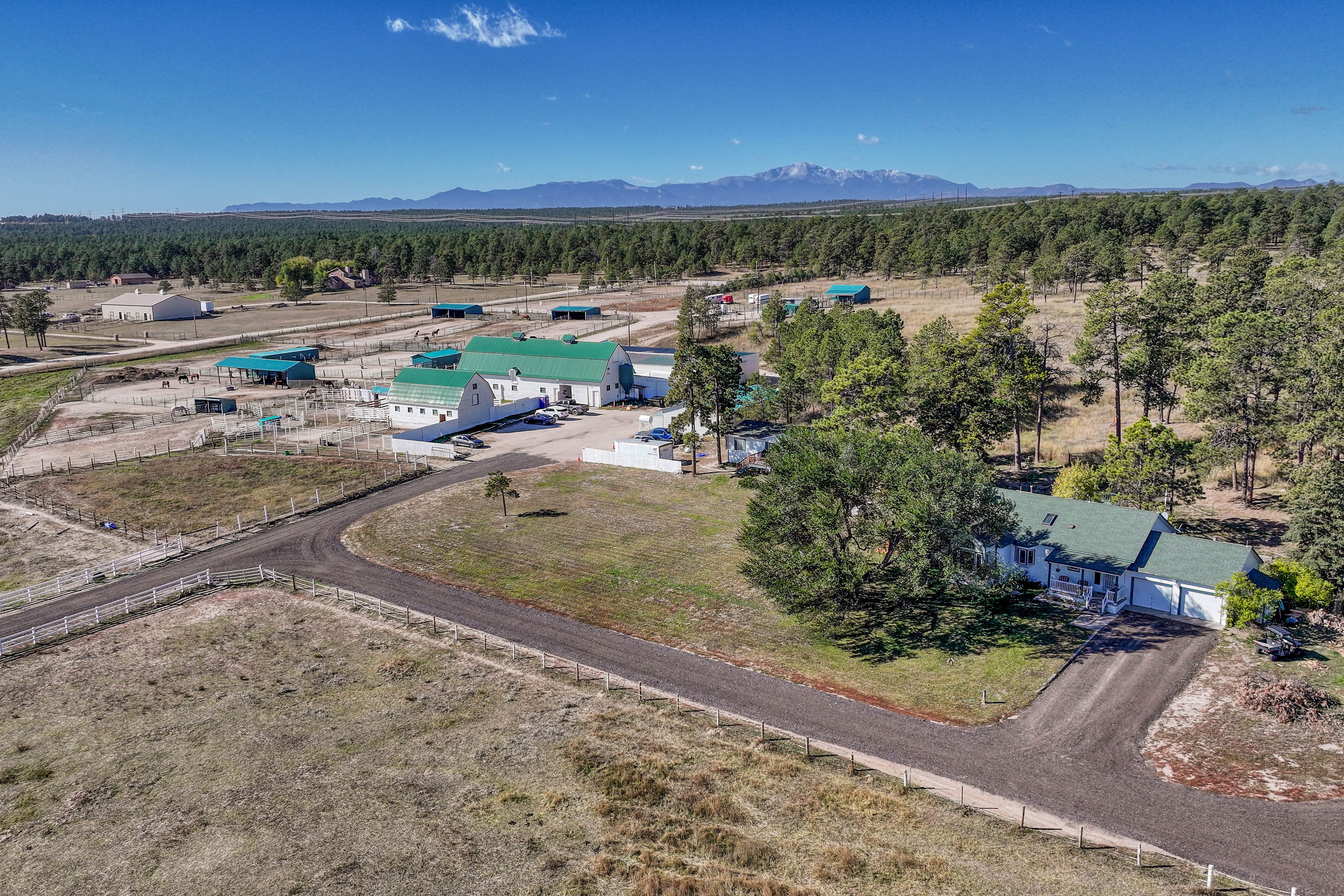  Historic Pine Run Ranch in Black Forest on rare 60 acres - 物件實景