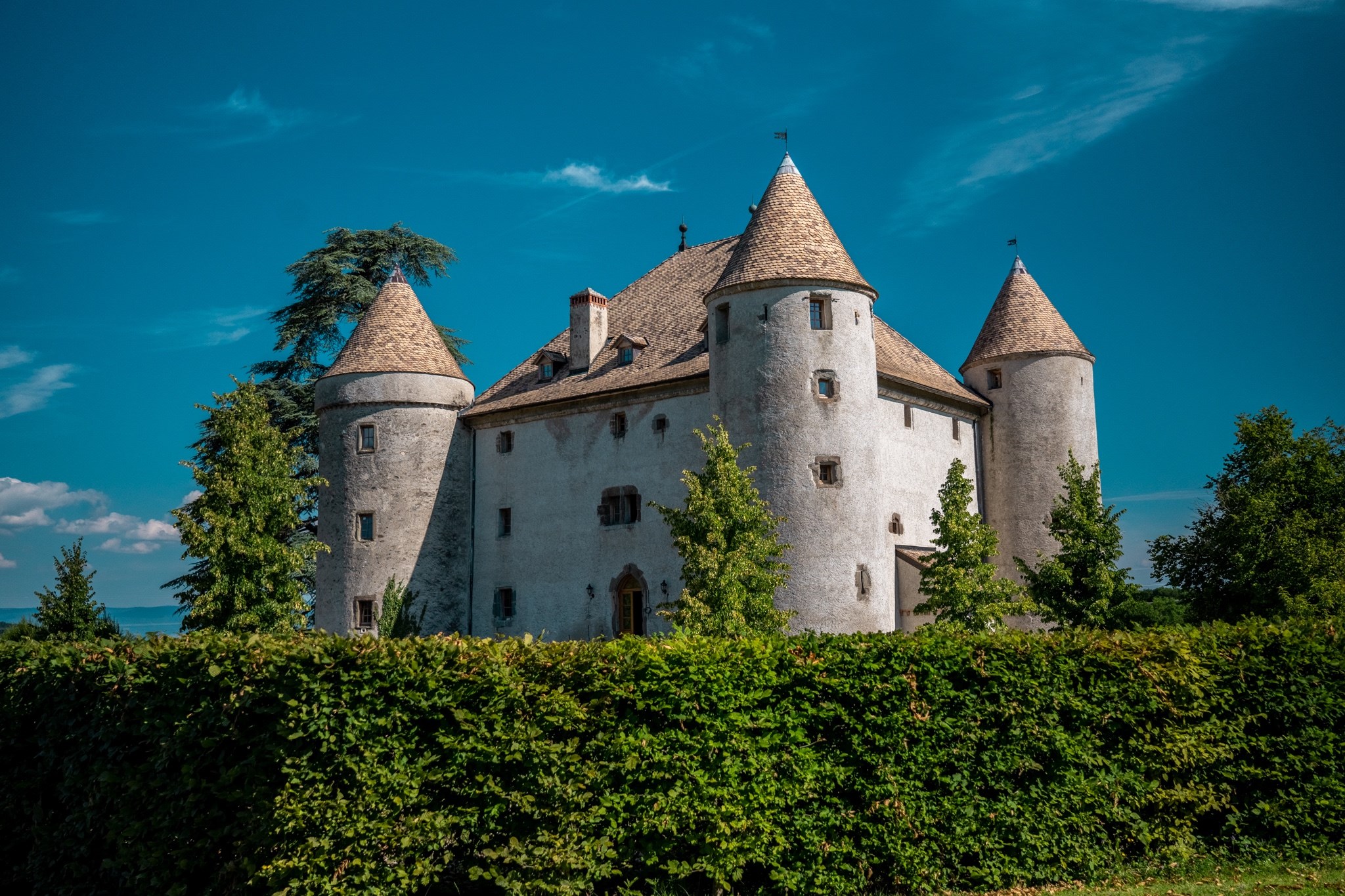  Castle at the Gates of Geneva - 物件實景