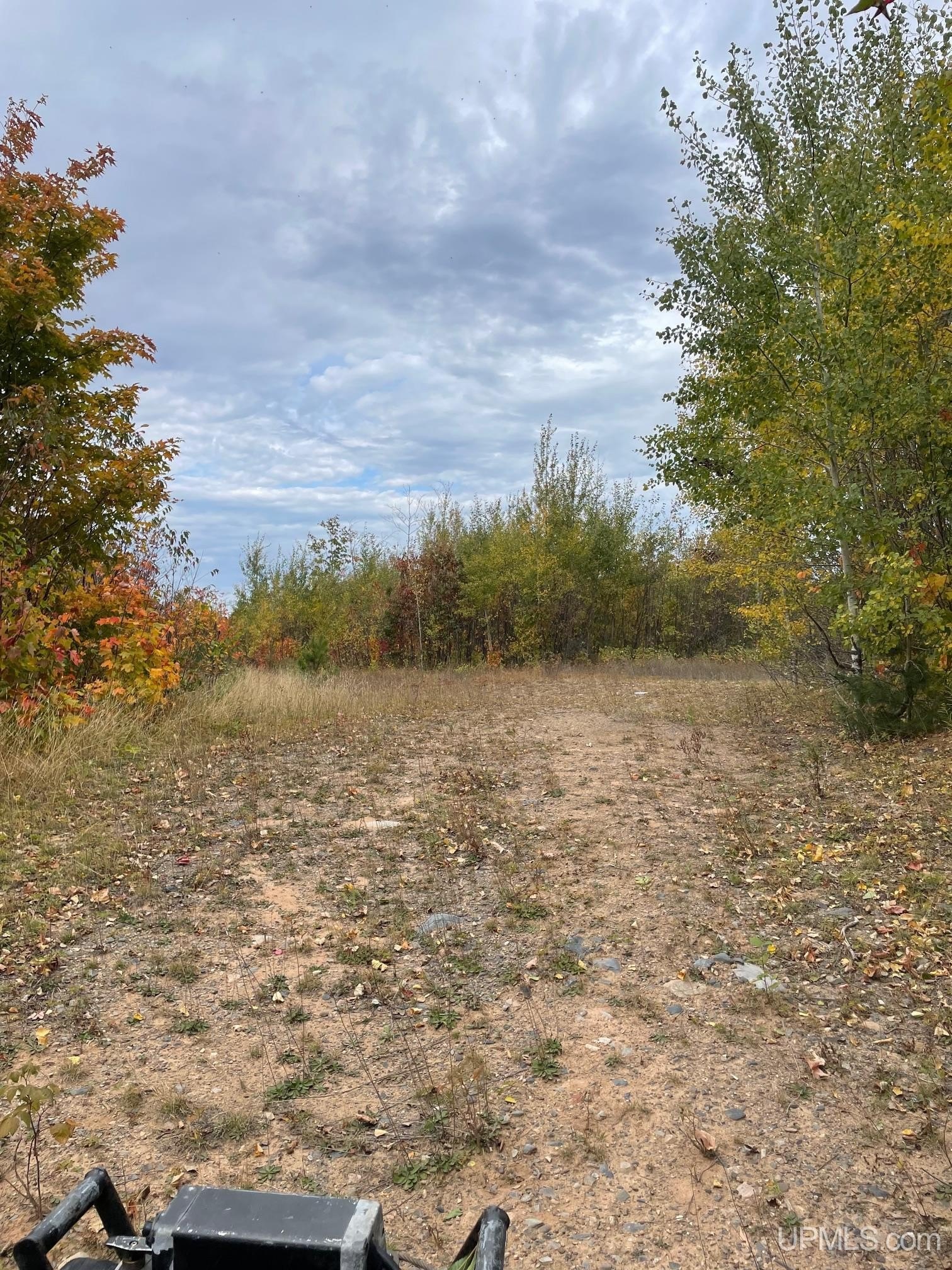 Ishpeming, Michigan, 49829, United States, ,Land,For Sale,1980384