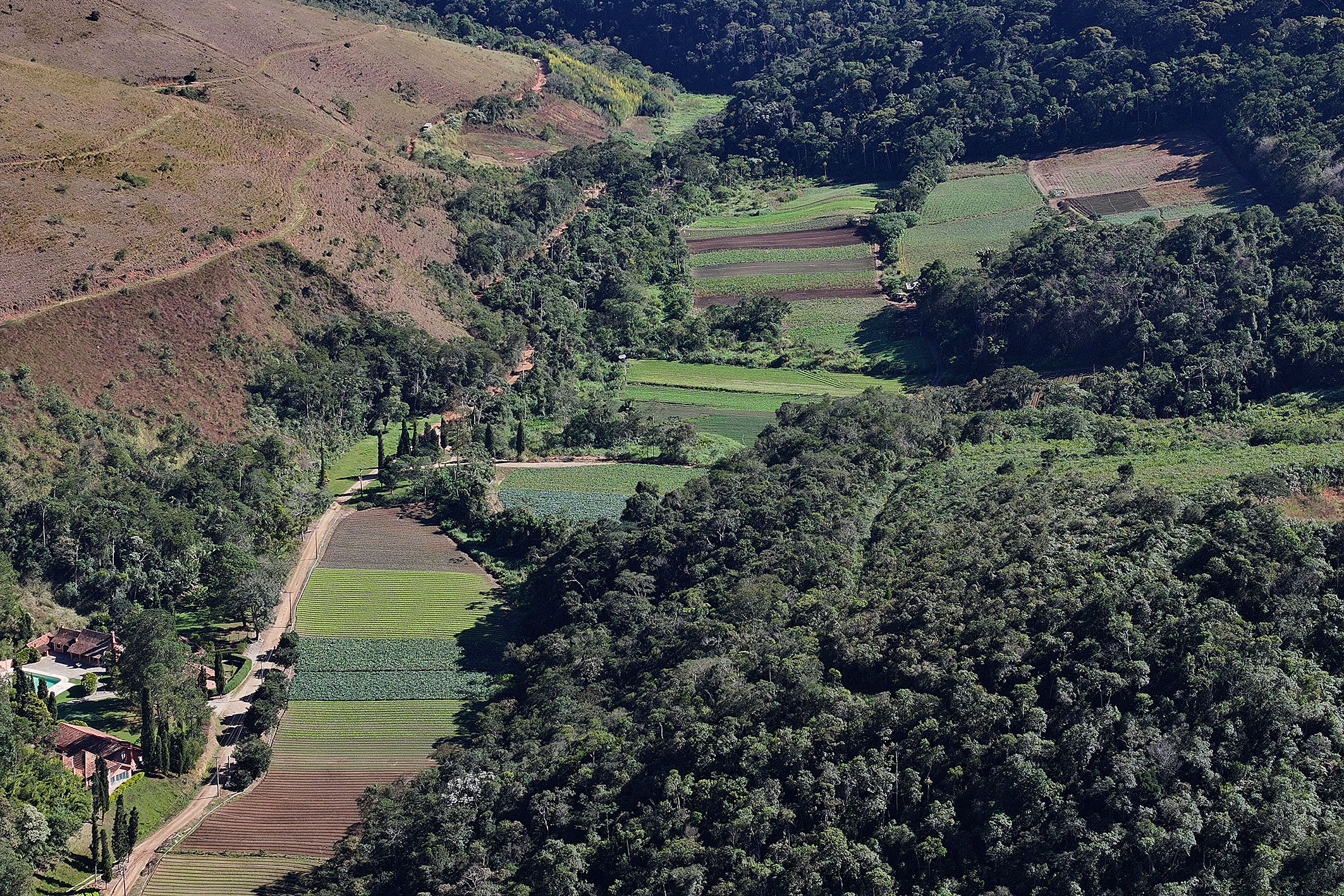  Productive estate spanning 865 acres in the mountains of Teresópolis - 物件實景