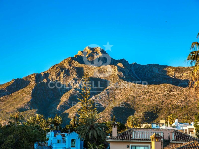 Marbella, Andalusia, ES, 5 Bedrooms Bedrooms, ,5 BathroomsBathrooms,Residential,For Sale,1766343