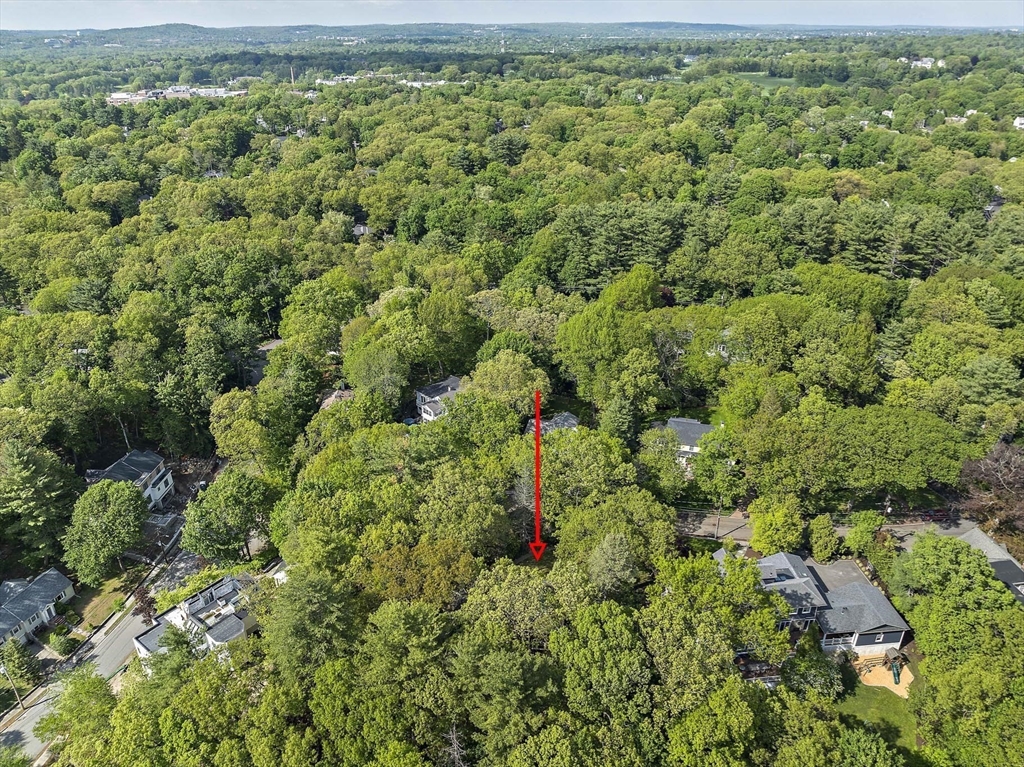 Newton, Massachusetts, 02468, United States, 4 Bedrooms Bedrooms, ,4 BathroomsBathrooms,Residential,For Sale,1829542