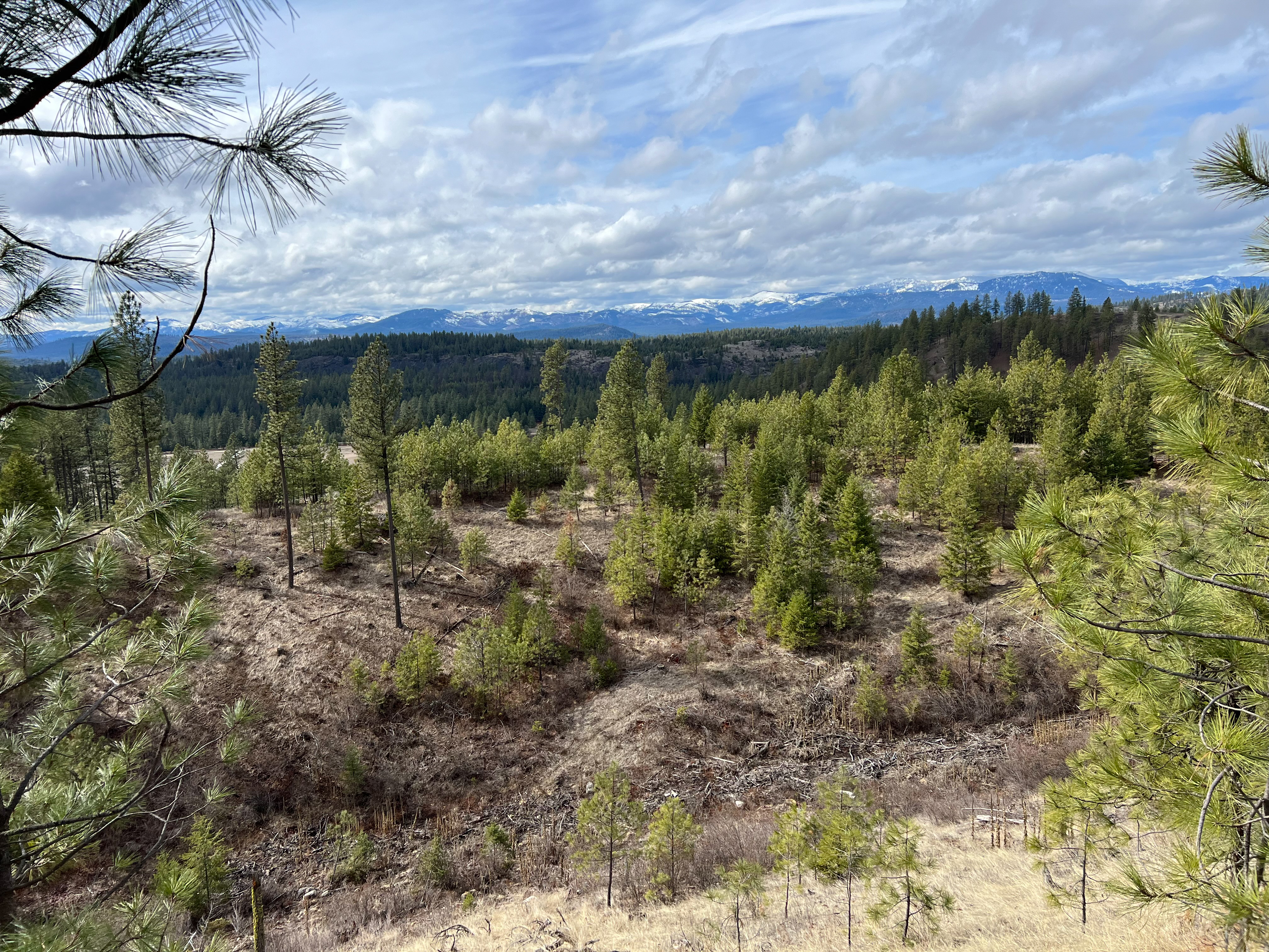 Valley, Washington, 99181, United States, ,Land,For Sale,1979391