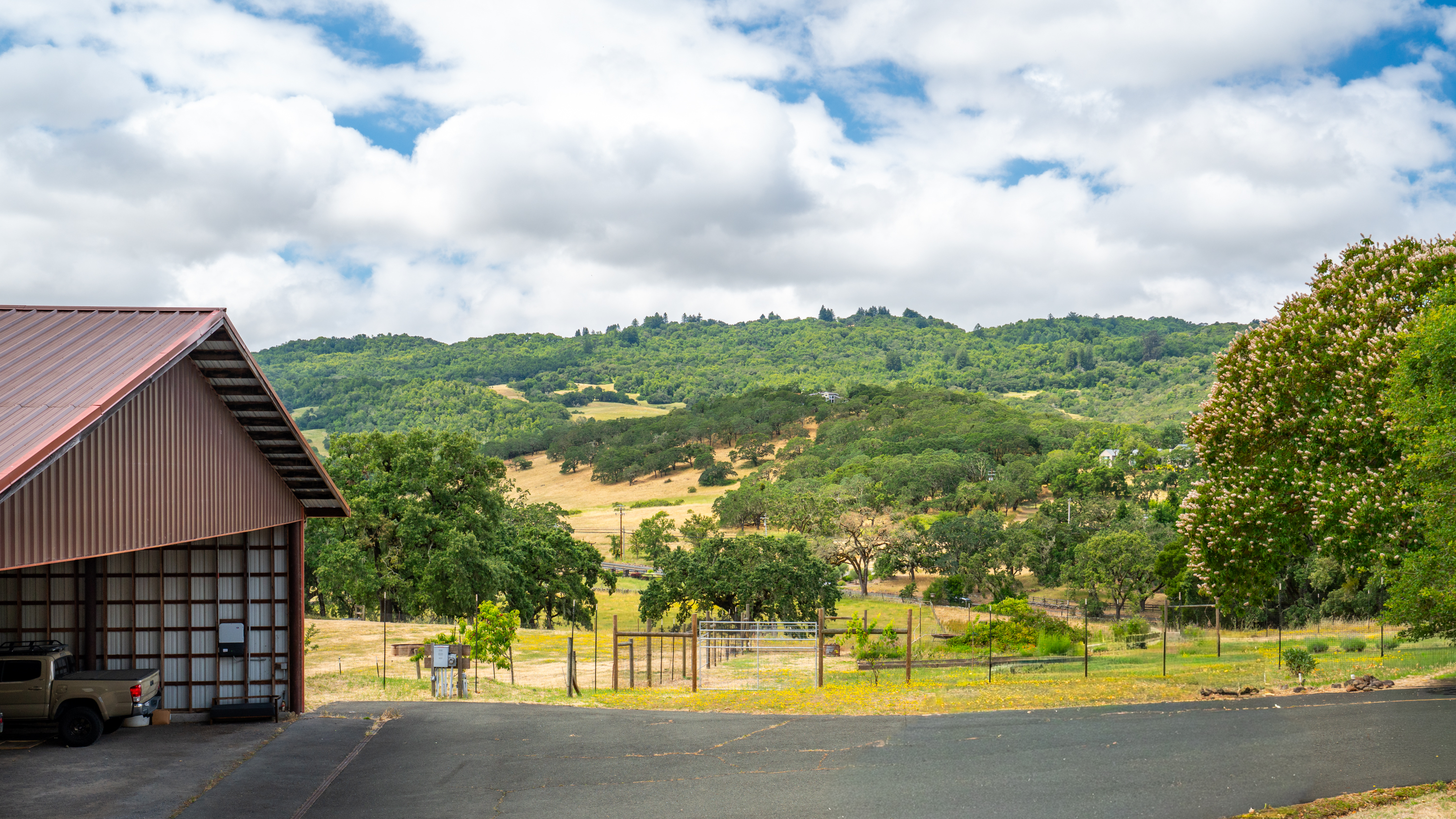  Exceptional Bennett Valley Country Estate - 物件實景