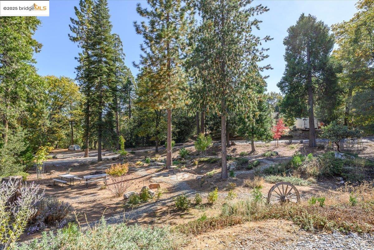 Twain Harte, California, 95383, United States, 3 Bedrooms Bedrooms, ,2 BathroomsBathrooms,Residential,For Sale,1996763