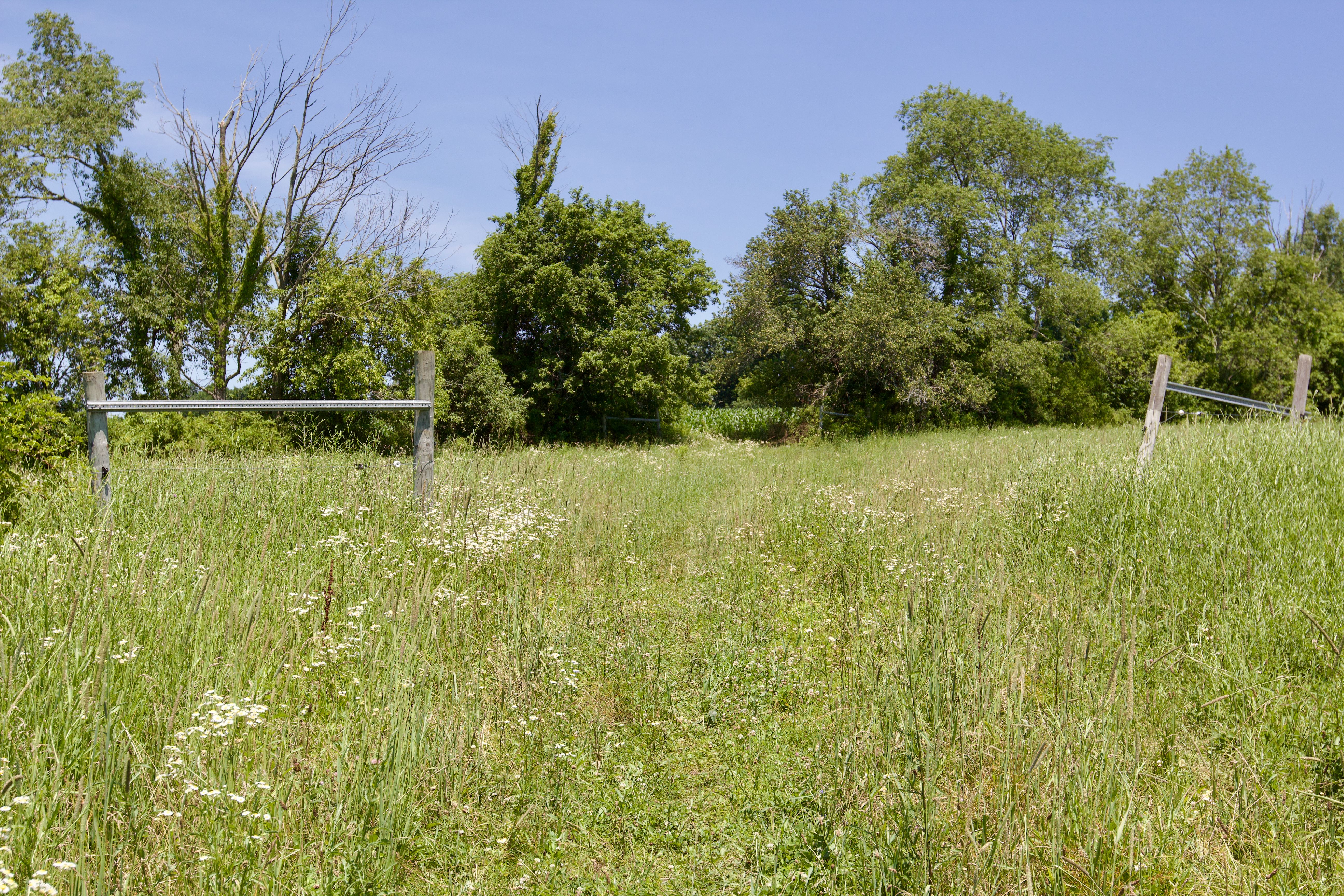  90 West End Road, Hillsdale, NY 12529 - 物件實景