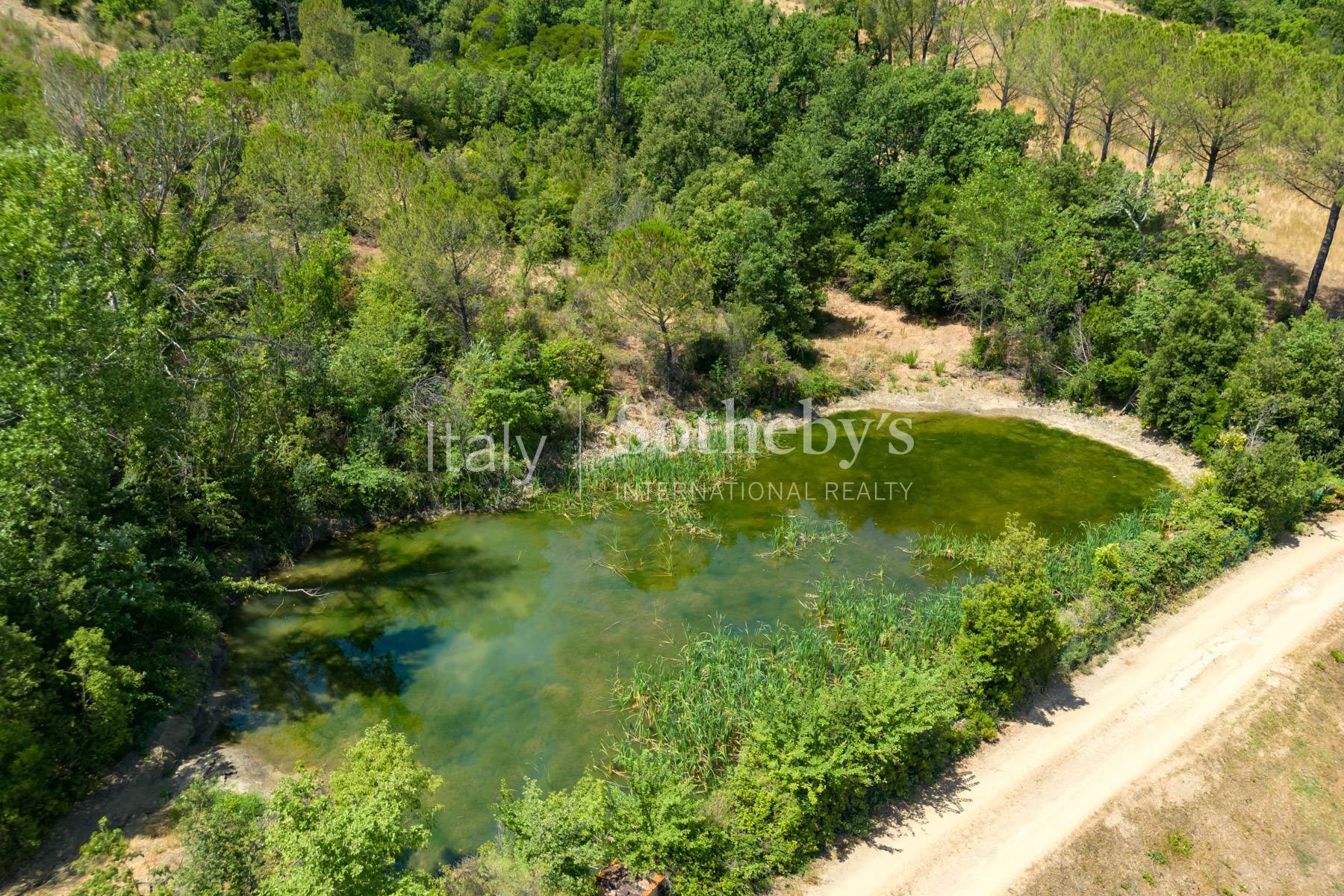  One-of-a-kind Hunting Reserve in Maremma - 物件實景