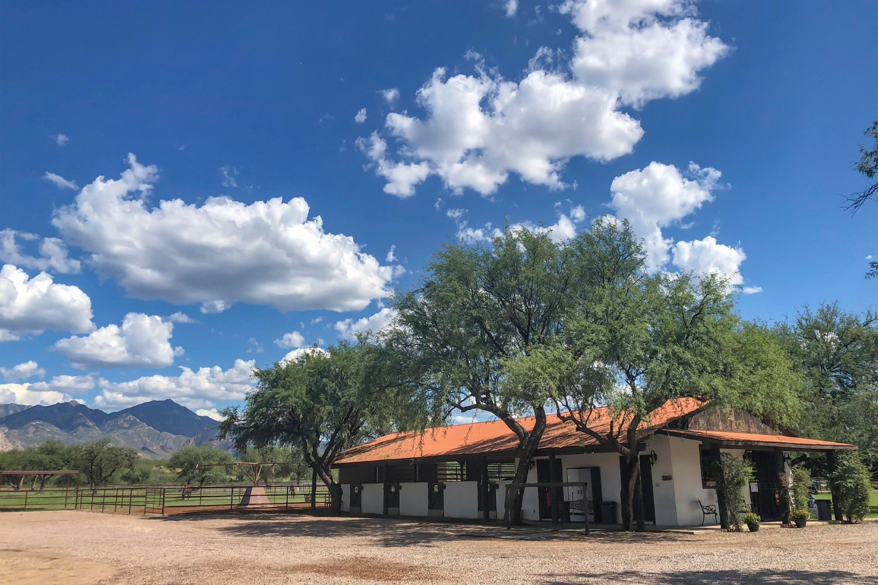  3155 W Elephant Head Road¦Amado, AZ - 物件實景