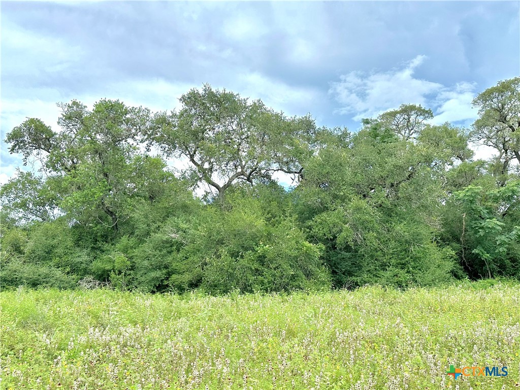 Nursery, Texas, 77976, United States, ,Land,For Sale,1885536