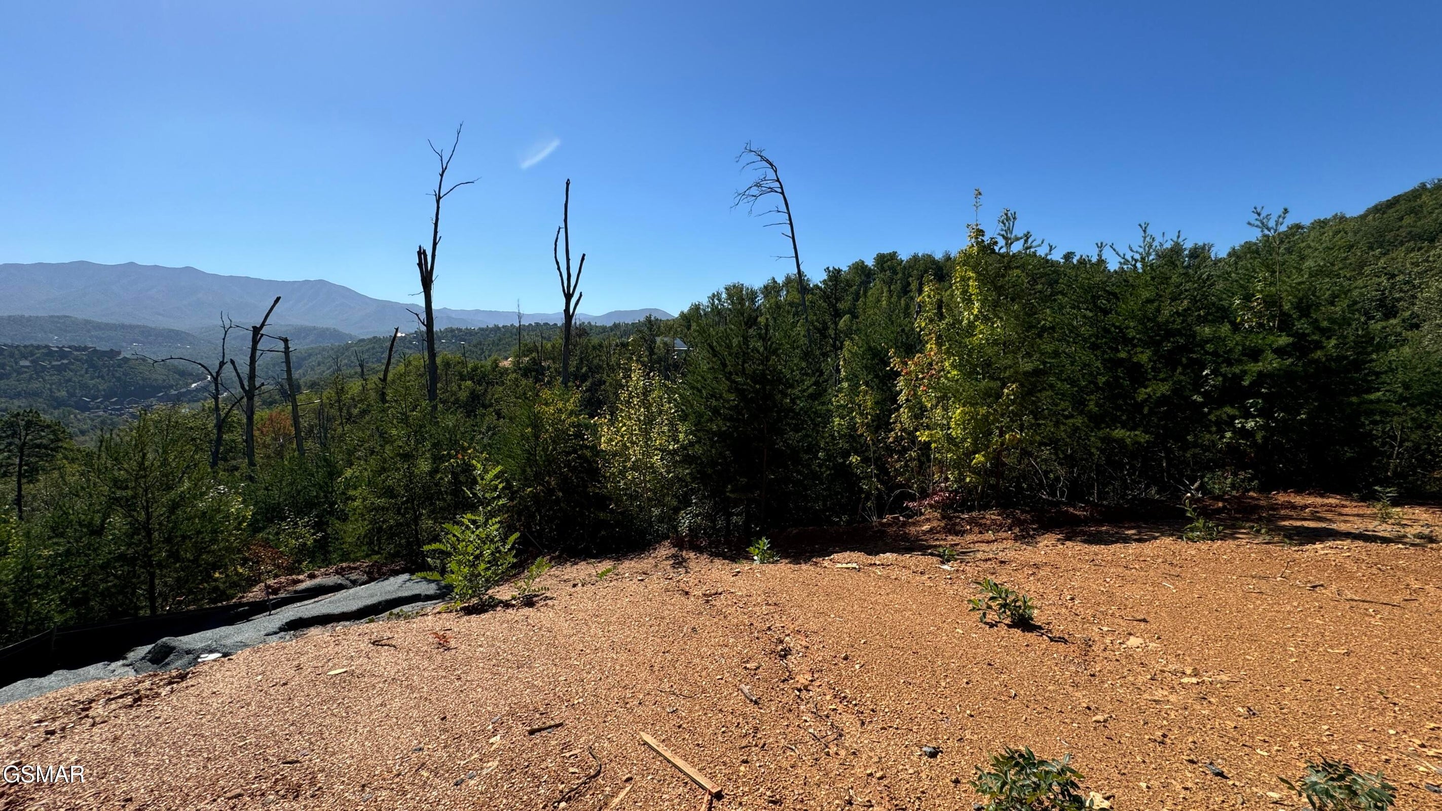 Gatlinburg, Tennessee, 37738, United States, ,Land,For Sale,1973768