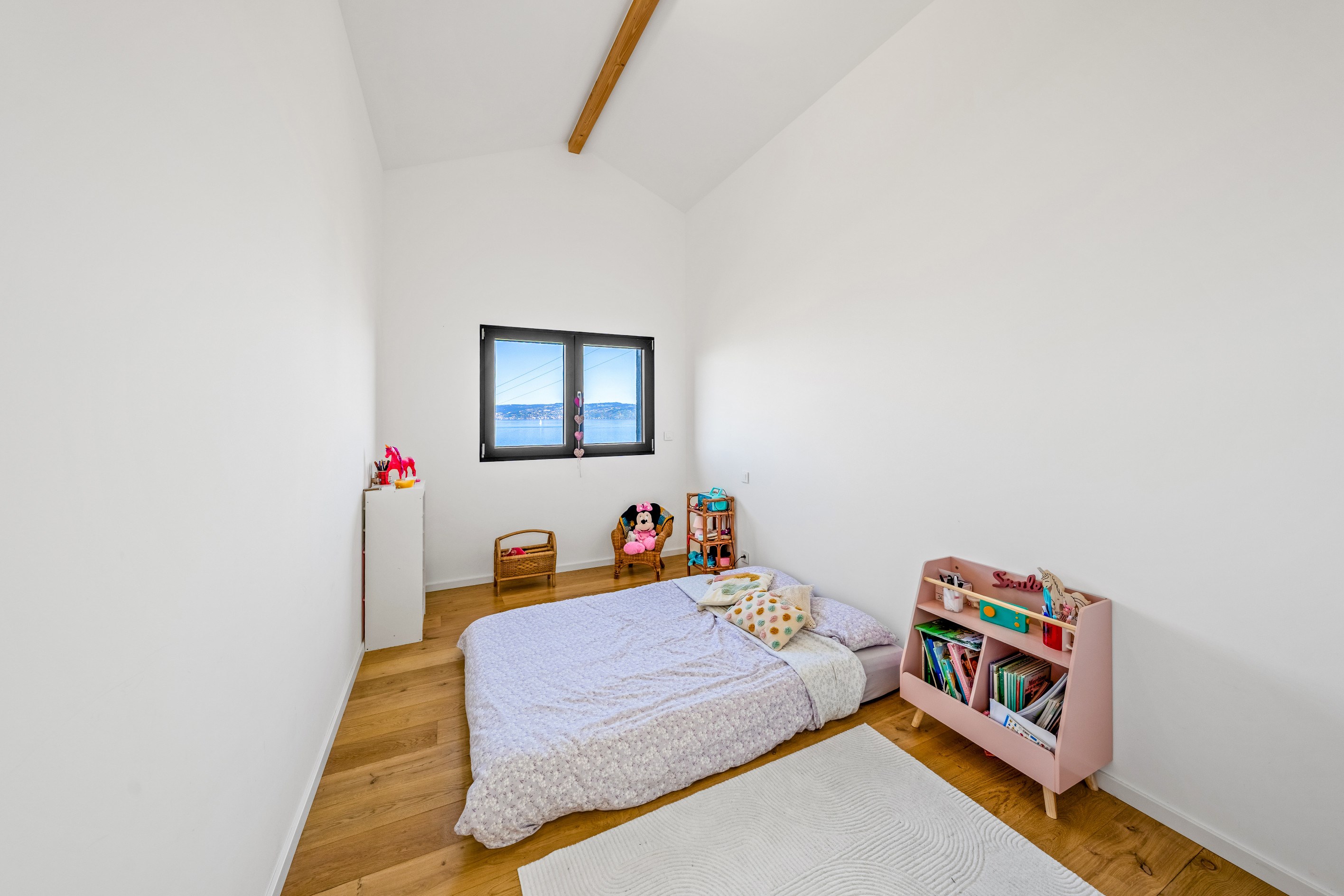  LUGRIN, RECENT VILLA 5 BEDROOMS VIEW ON THE LAKE - 物件實景