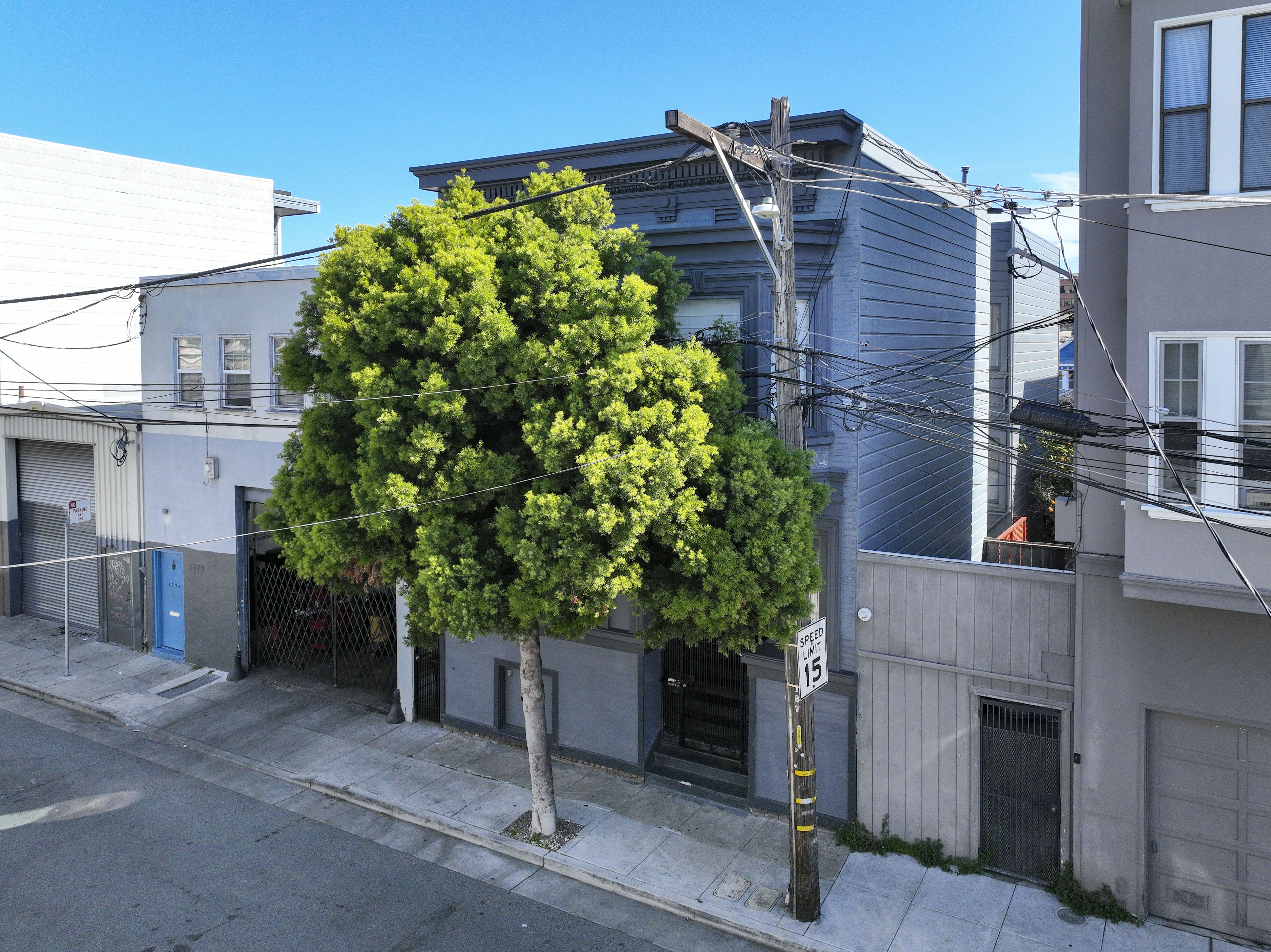  Period Charm Galore  Edwardian in the Mission - 物件實景