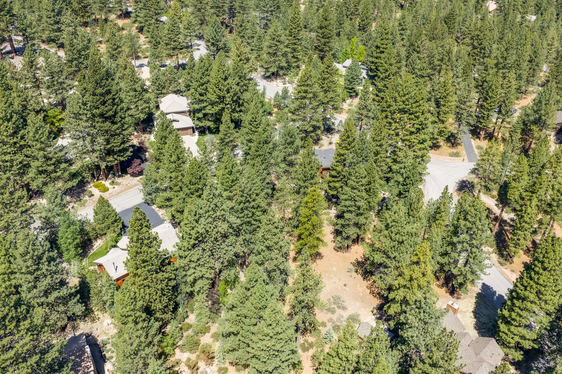  Private Galena Forest Parcel Near Mt. Rose with Pines & Tahoe Access - 物件實景