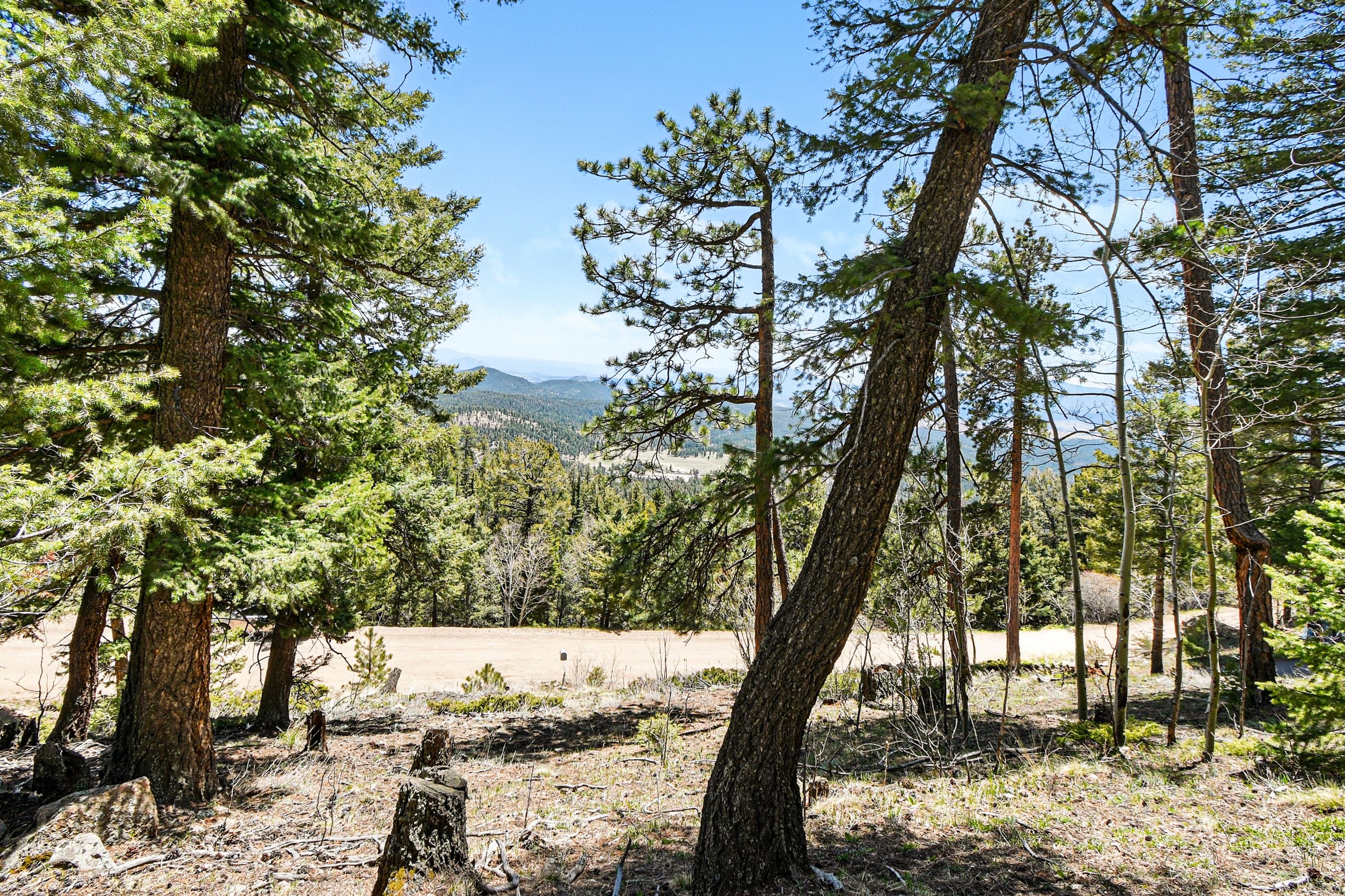  Beautiful Lot in the Kings Valley Neighborhood - 物件實景